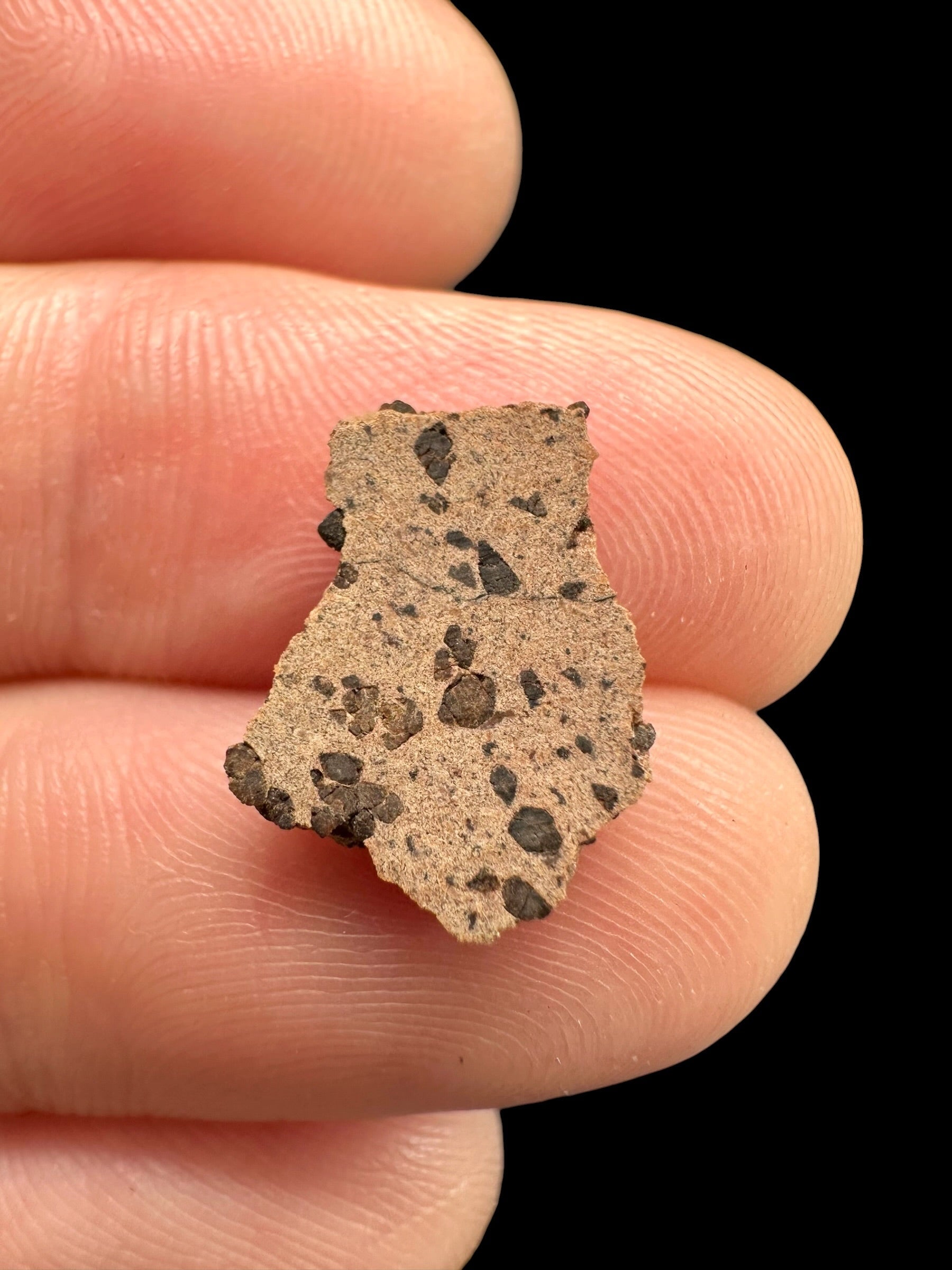 Meteorite Tarkint 001 – 0,5g – Mali - METR14