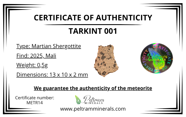 Meteorite Tarkint 001 – 0,5g – Mali - METR14