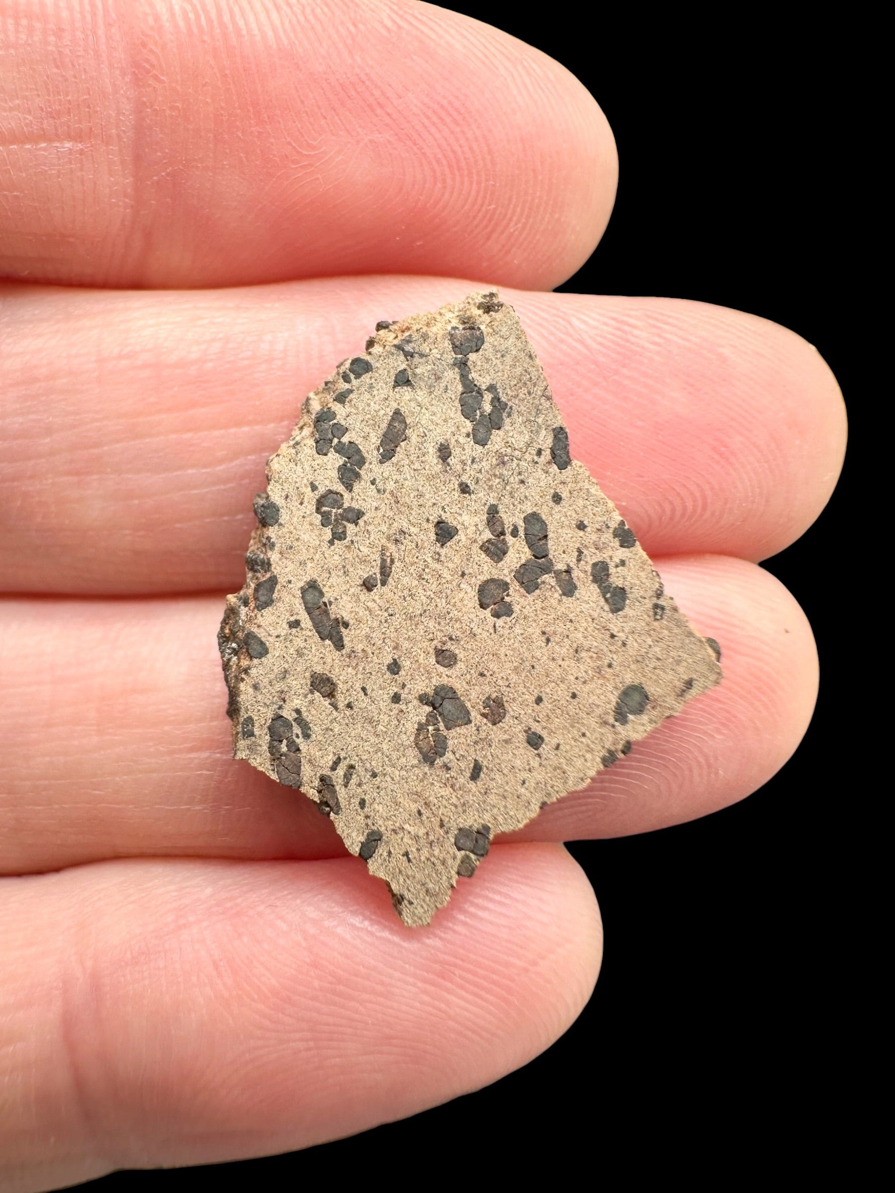Meteorite Tarkint 001 – 1,5g – Mali