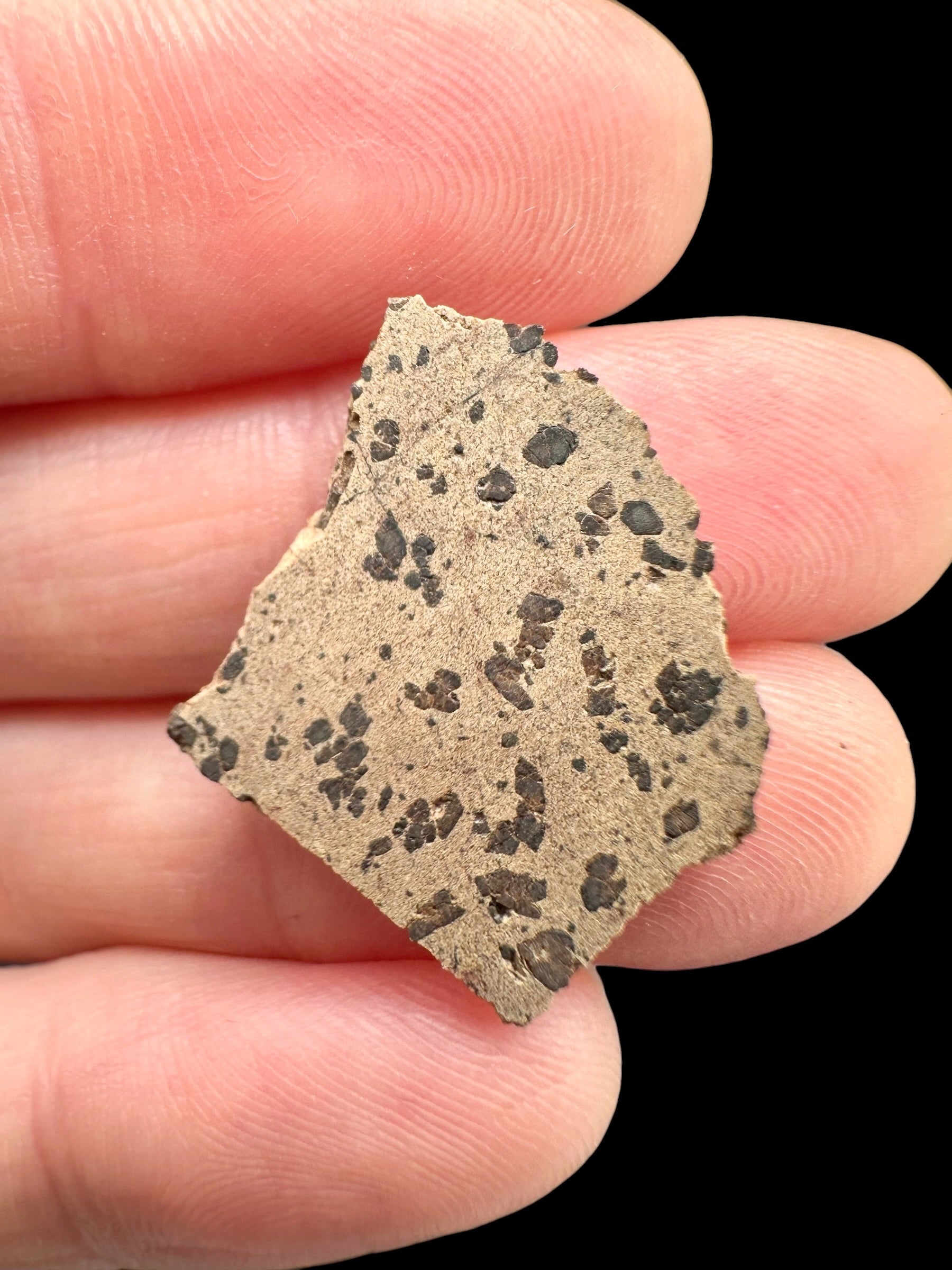 Meteorite Tarkint 001 – 1,5g – Mali - METR16