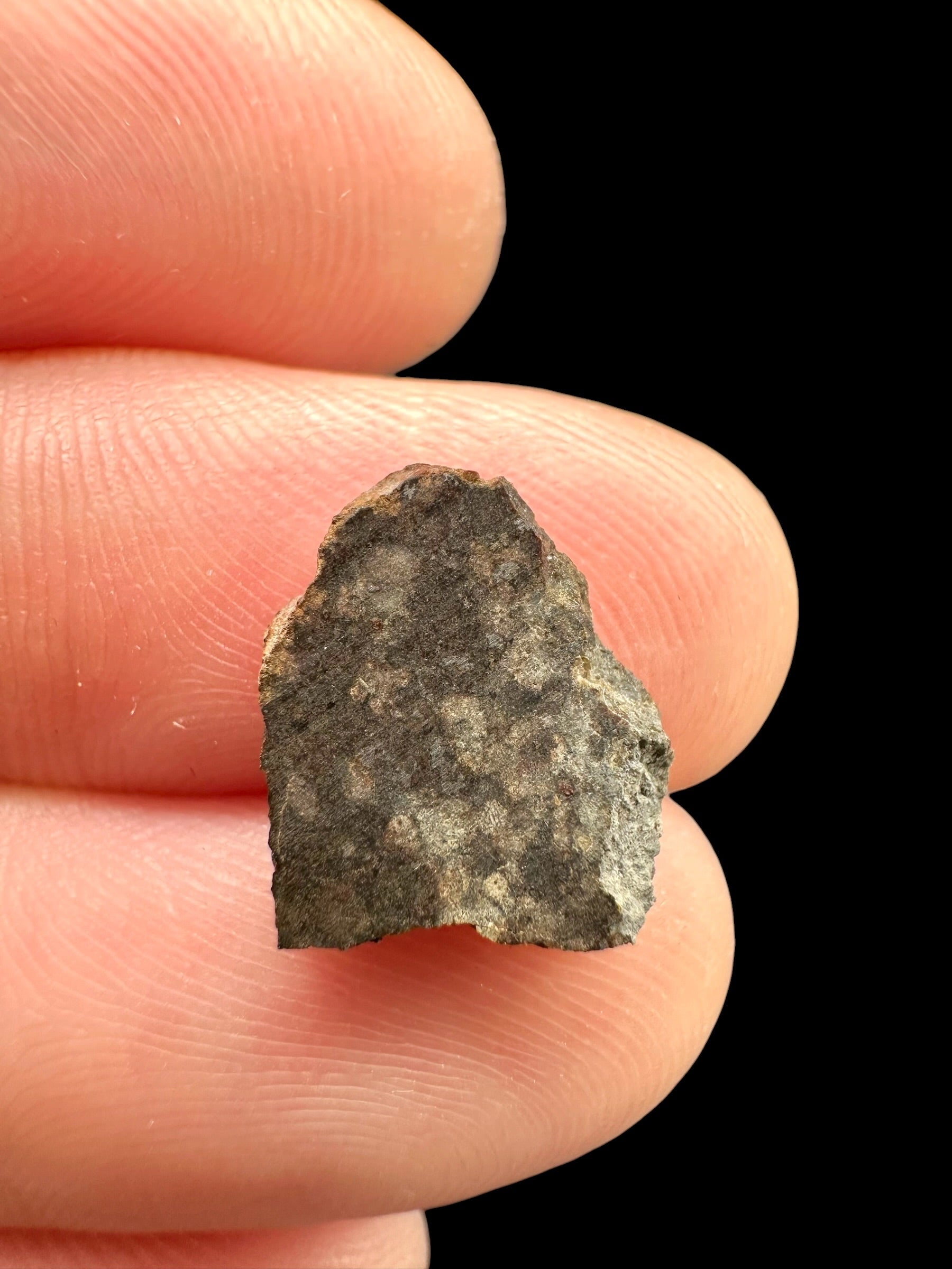 Meteorite Gold Basin 0,5g – Arizona, USA - MEGB14