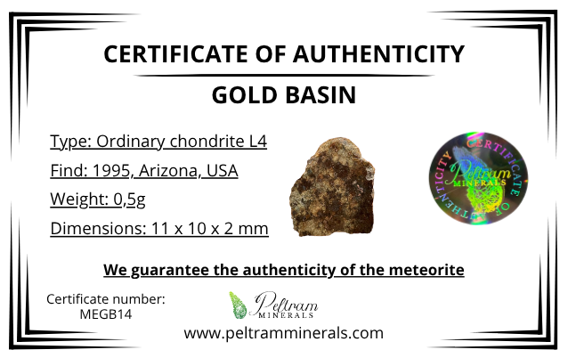 Meteorite Gold Basin 0,5g – Arizona, USA - MEGB14