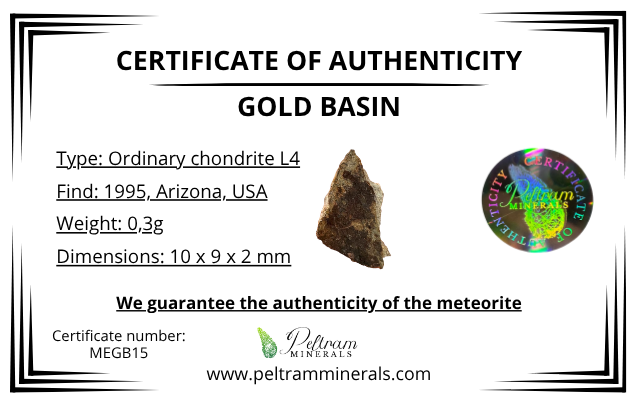 Meteorite Gold Basin 0,3g – Arizona, USA - MEGB15