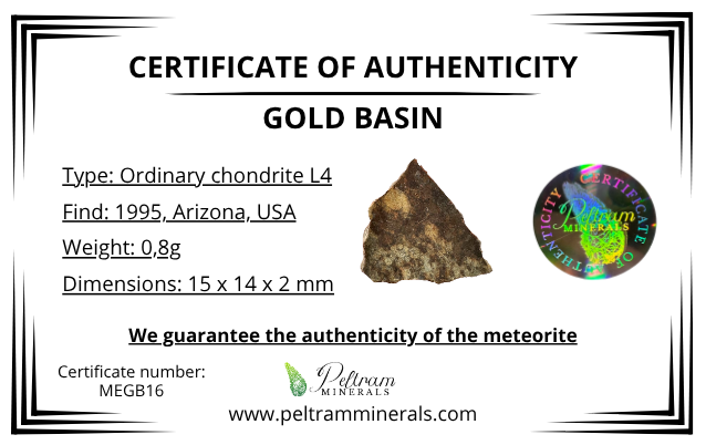 Meteorite Gold Basin 0,8g – Arizona, USA - MEGB16