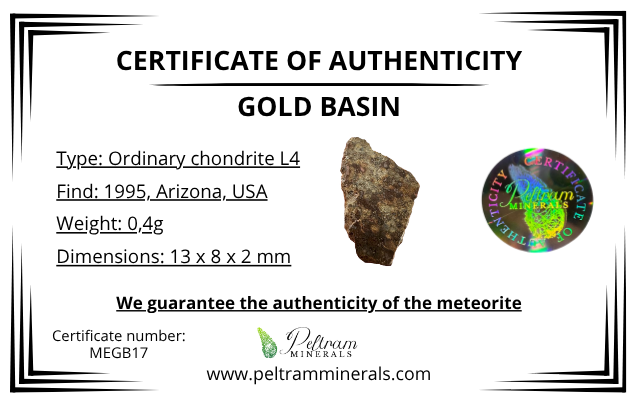 Meteorite Gold Basin 0,4g – Arizona, USA - MEGB17