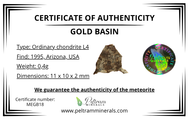 Meteorite Gold Basin 0,4g – Arizona, USA - MEGB18