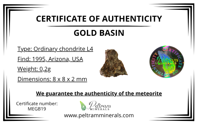 Meteorite Gold Basin 0,2g – Arizona, USA - MEGB19