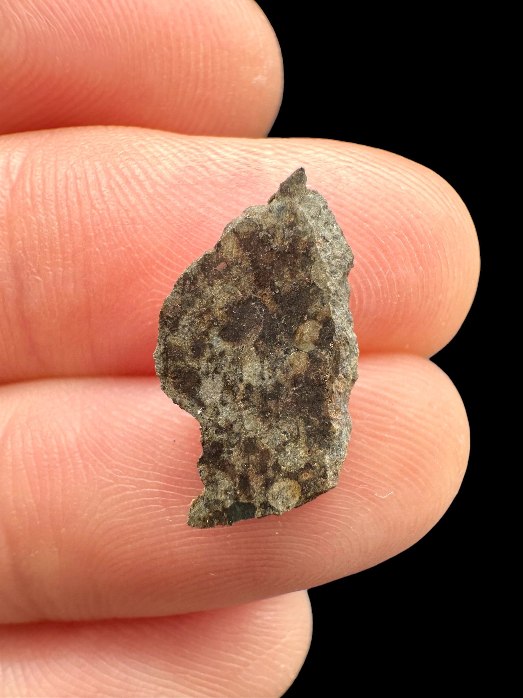 Meteorite Gold Basin 0,5g – Arizona, USA - MEGB20