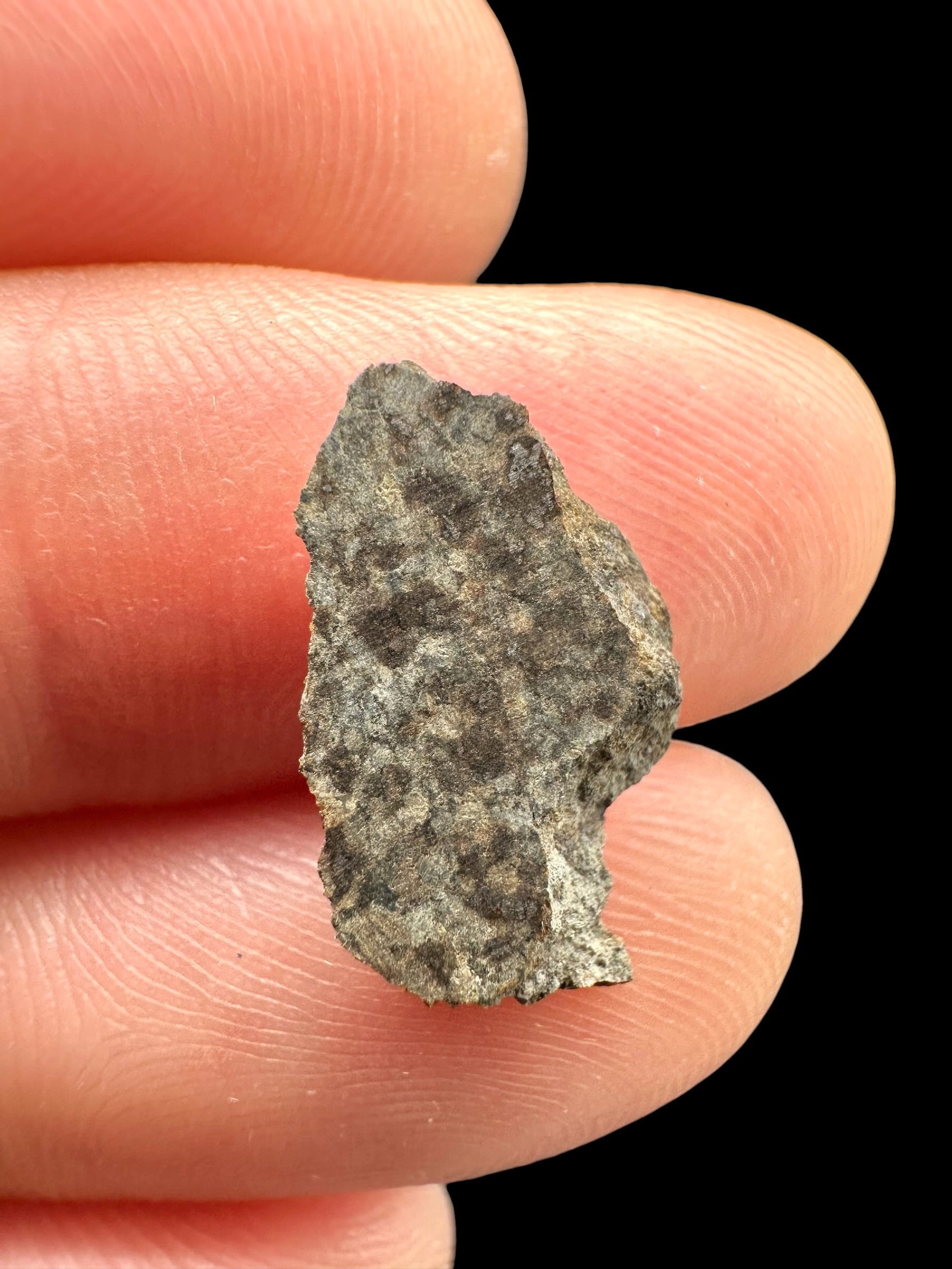 Meteorite Gold Basin 0,5g – Arizona, USA - MEGB20