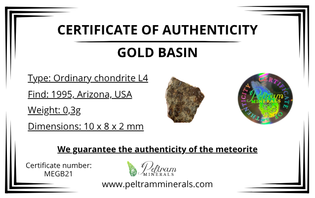 Meteorite Gold Basin 0,3g – Arizona, USA - MEGB21