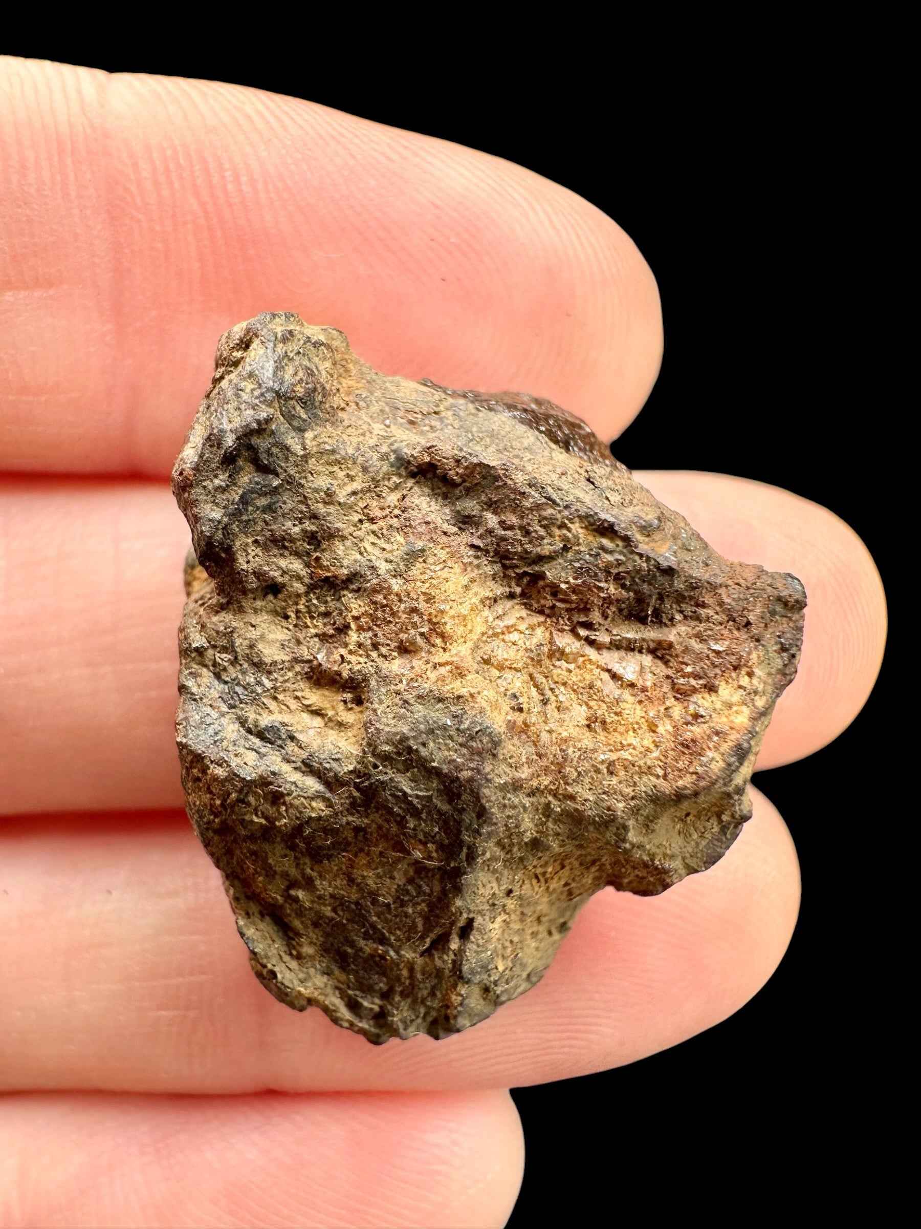 Sericho Pallasite Meteorite 11g / endcut – Kenya - MESR189