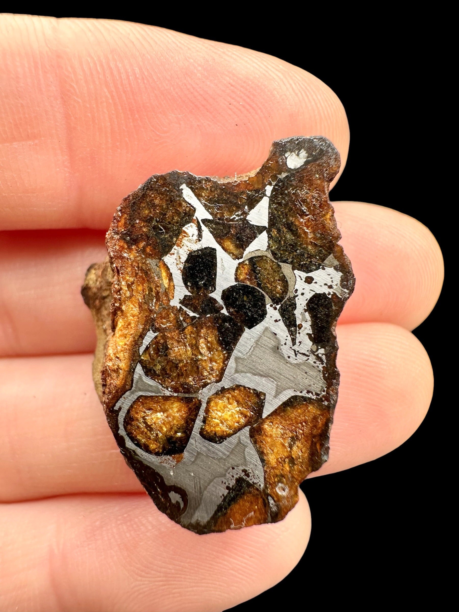 Sericho Pallasite Meteorite 11g / endcut – Kenya