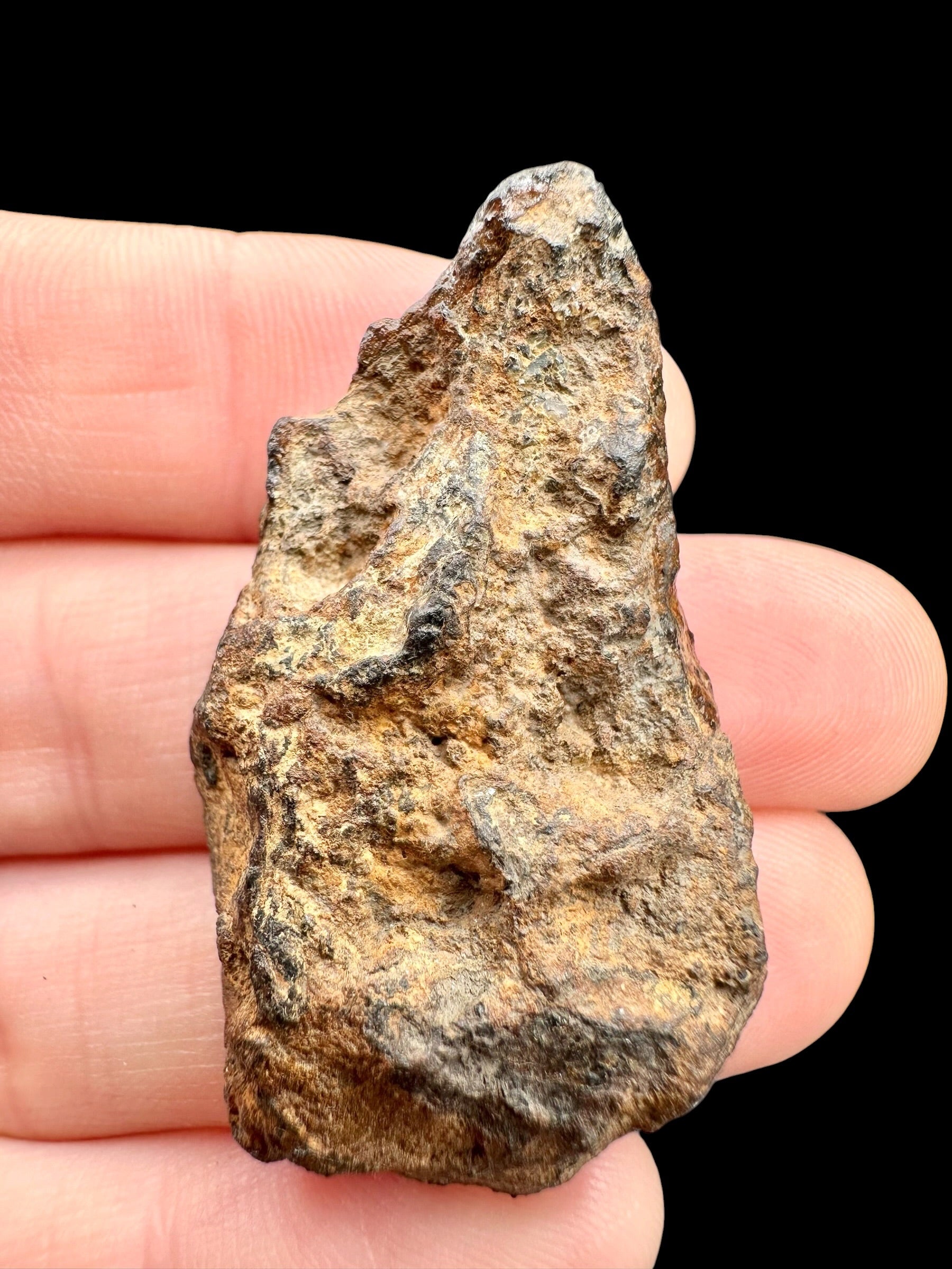 Sericho Pallasite Meteorite 18,7g / endcut – Kenya - MESR190