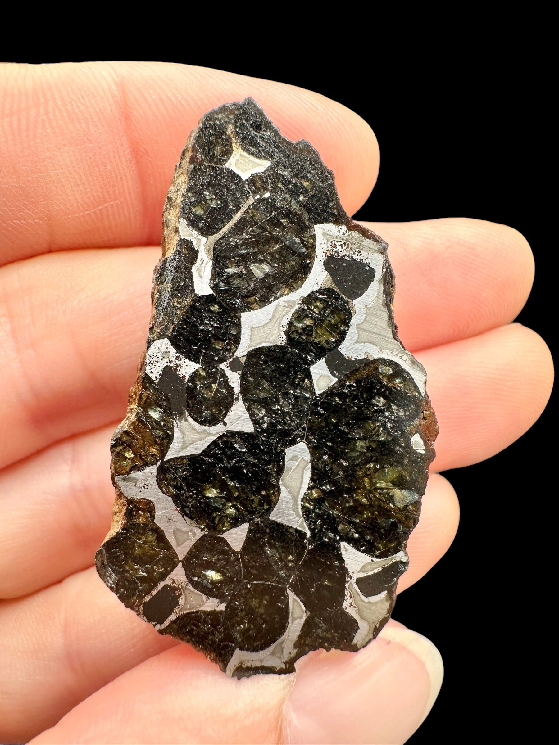 Sericho Pallasite Meteorite 18,7g / endcut – Kenya
