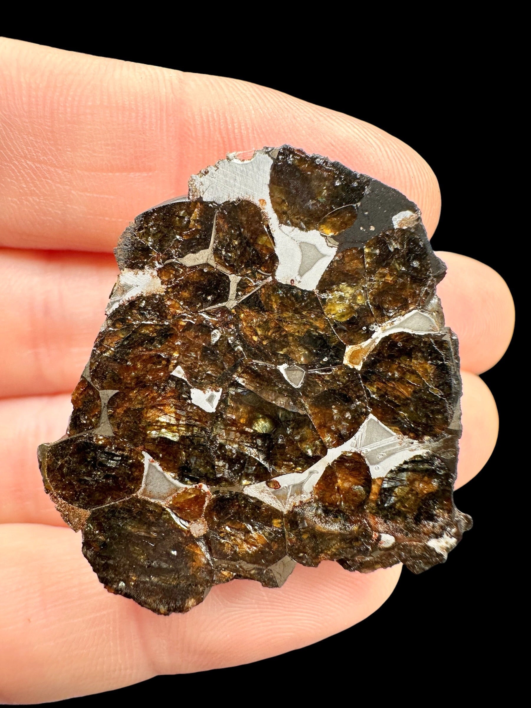 Sericho Pallasite Meteorite 22,8g / endcut – Kenya