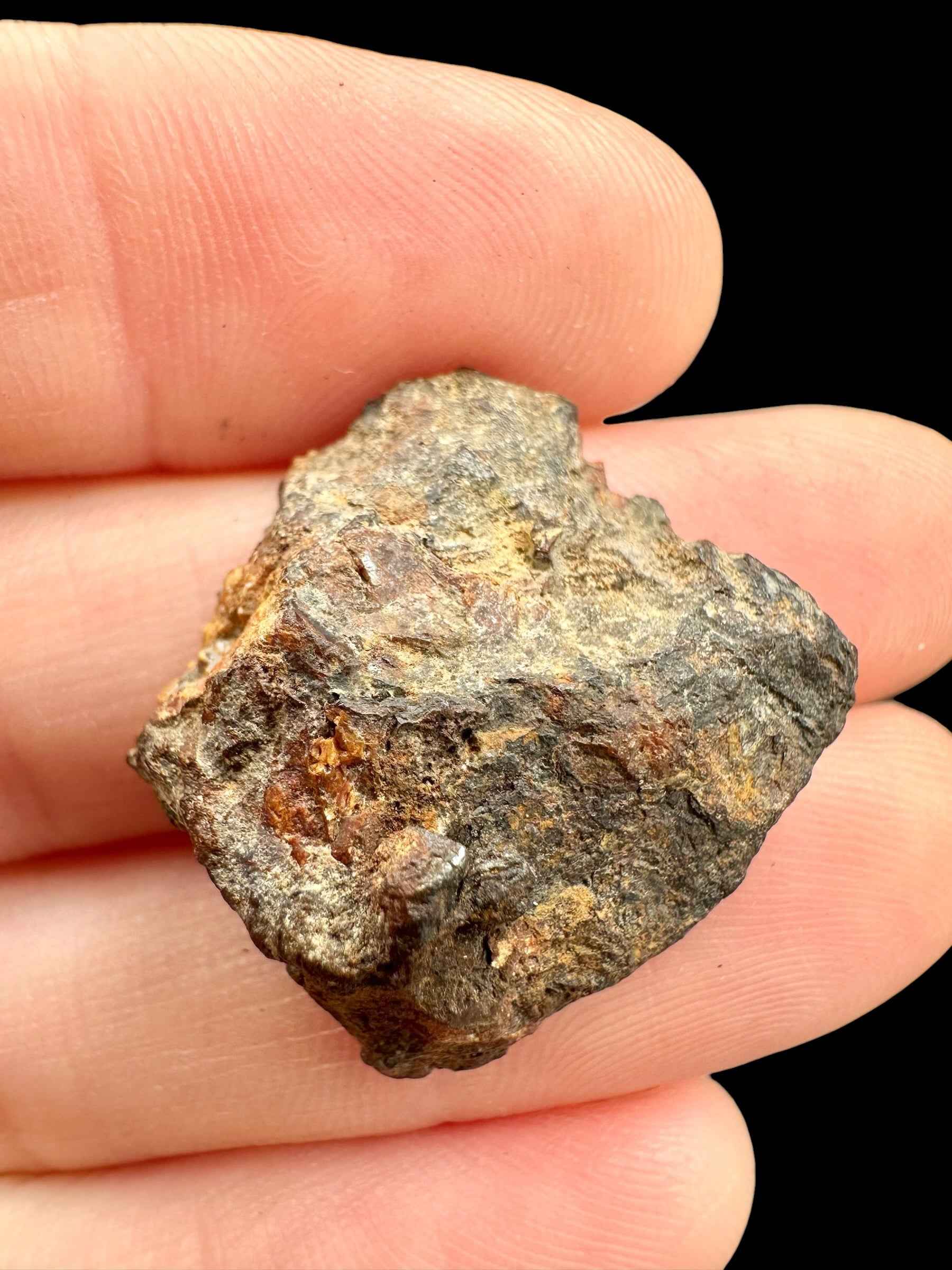 Sericho Pallasite Meteorite 7,2g / endcut – Kenya - MESR192