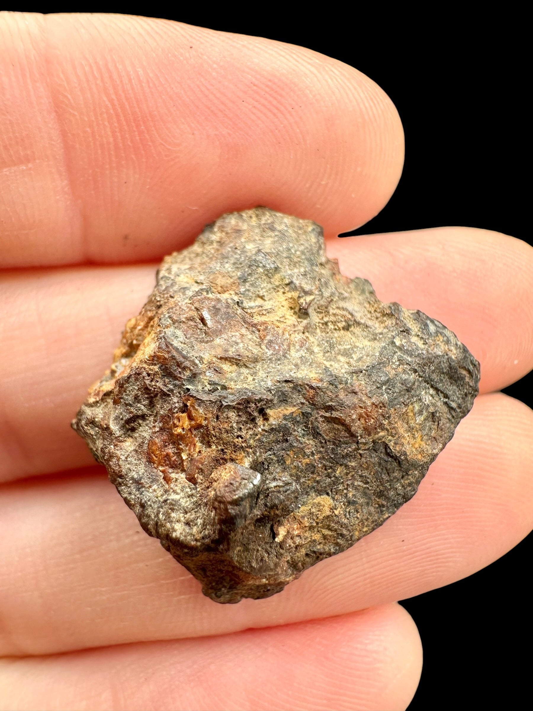 Sericho Pallasite Meteorite 7,2g / endcut – Kenya - MESR192