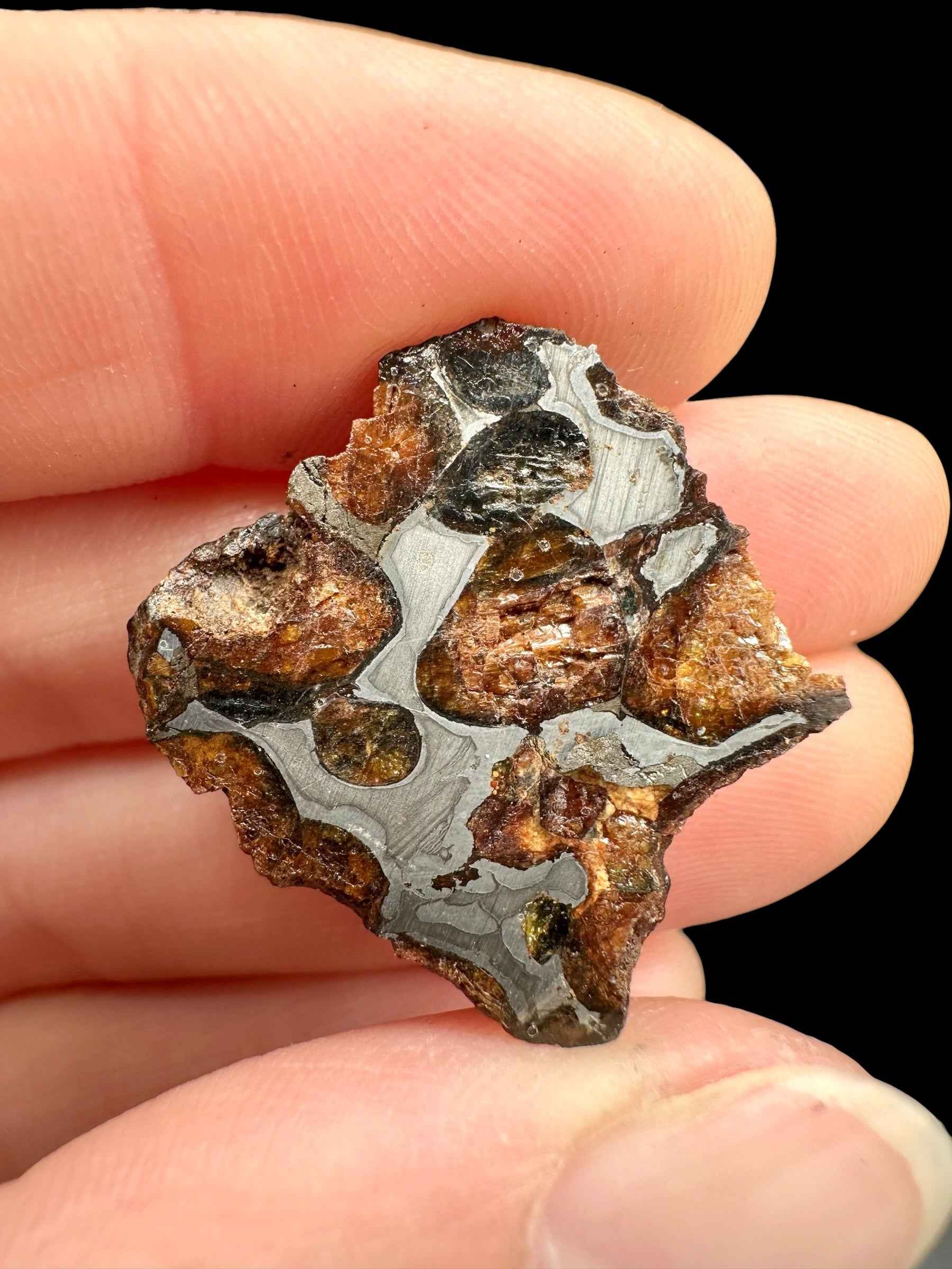 Sericho Pallasite Meteorite 7,2g / endcut – Kenya - MESR192