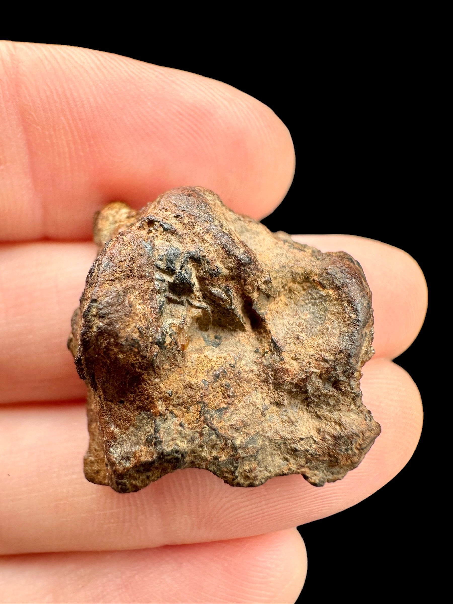 Sericho Pallasite Meteorite 12,1g / endcut – Kenya - MESR193