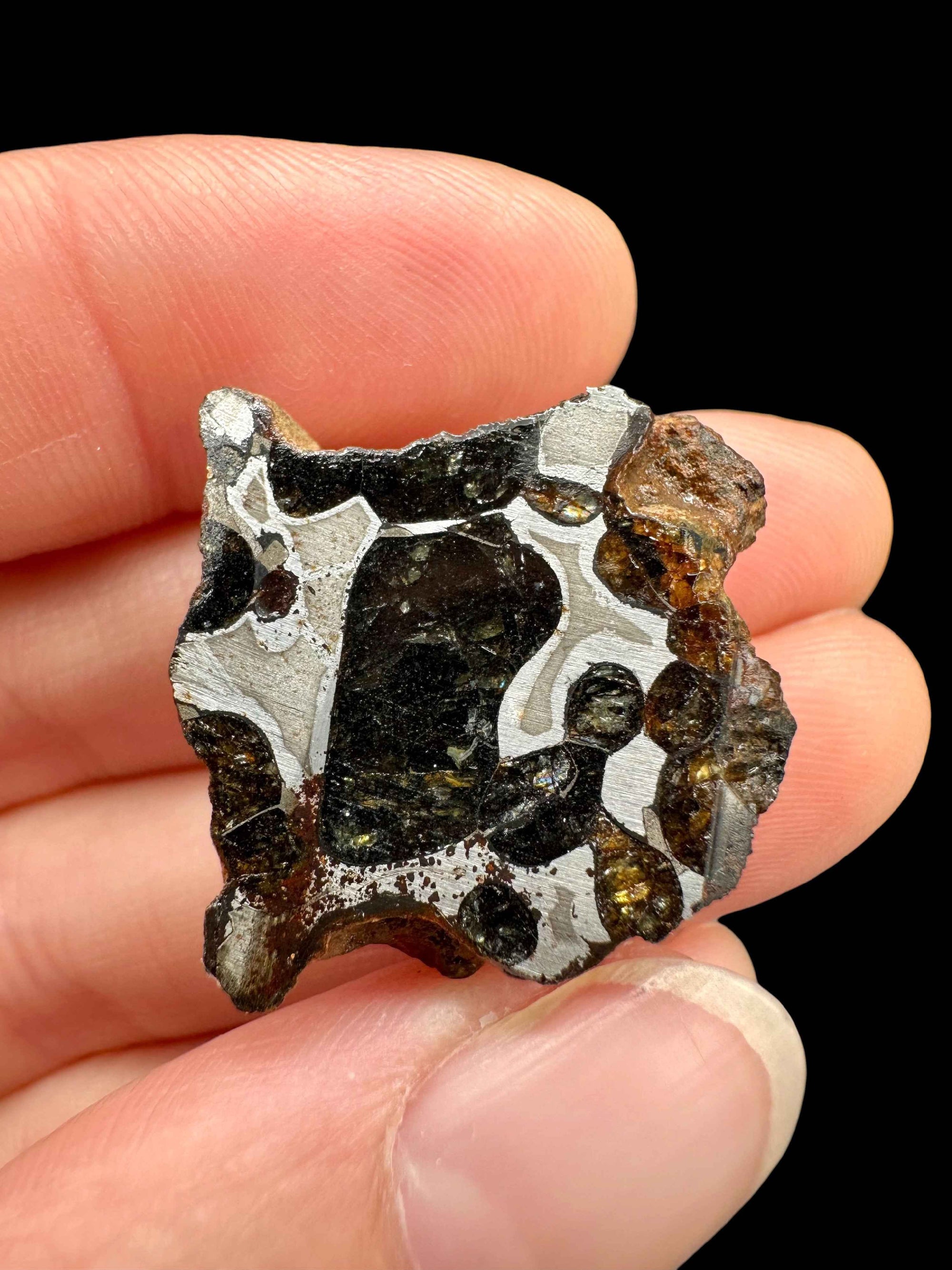 Sericho Pallasite Meteorite 12,1g / endcut – Kenya - MESR193