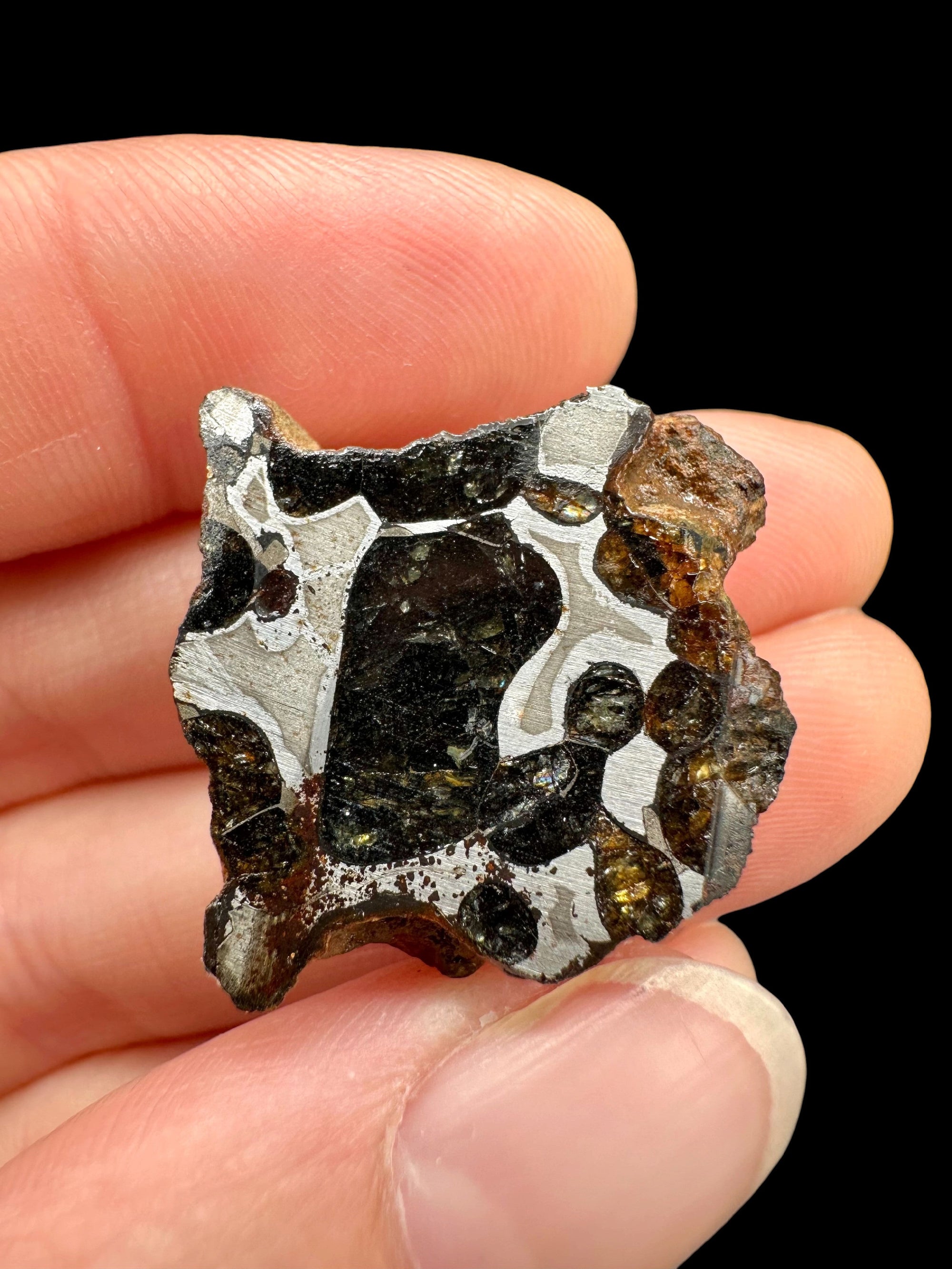Sericho Pallasite Meteorite 12,1g / endcut – Kenya