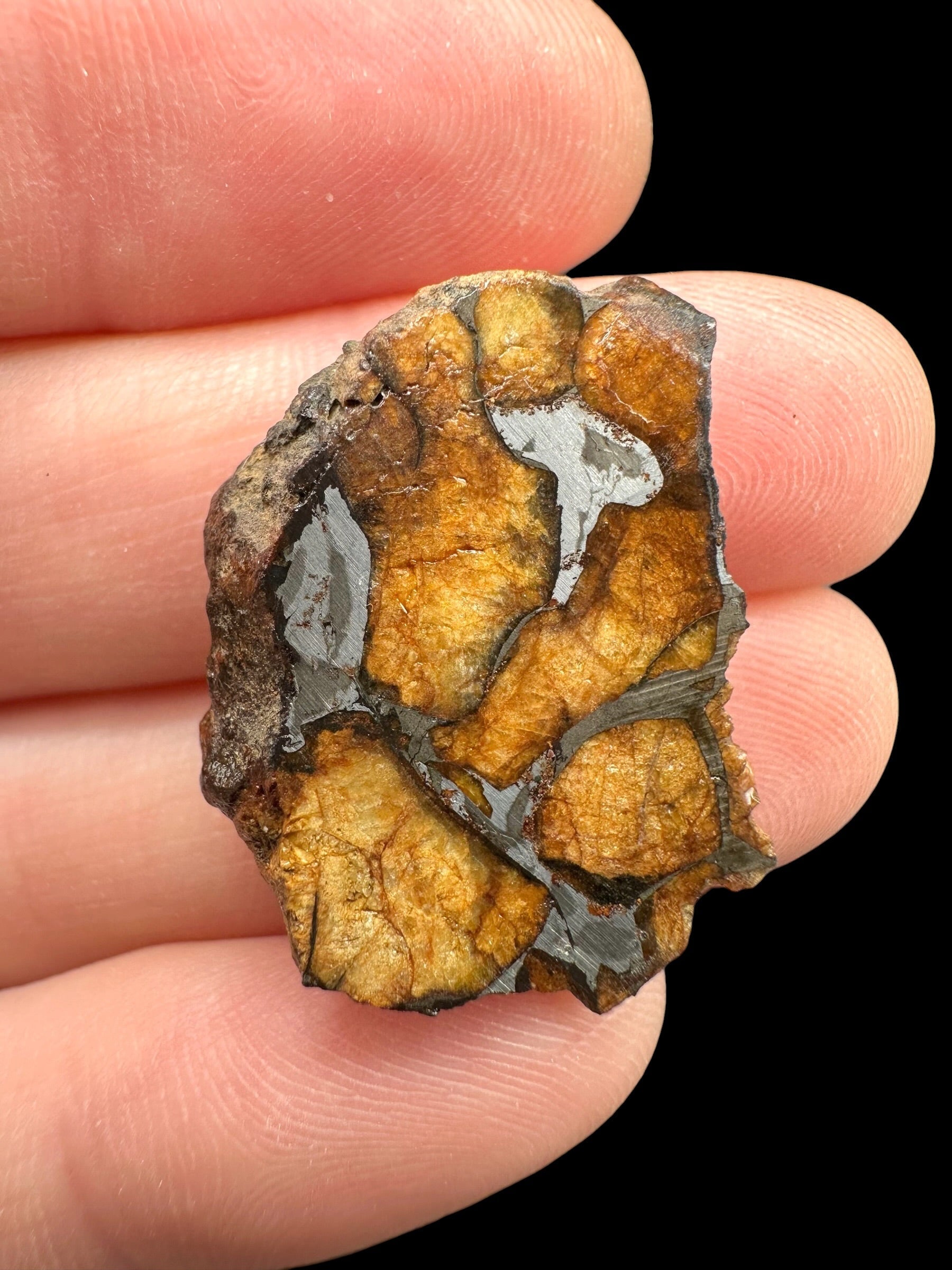 Sericho Pallasite Meteorite – pair 12,6g – Kenya - MESR194