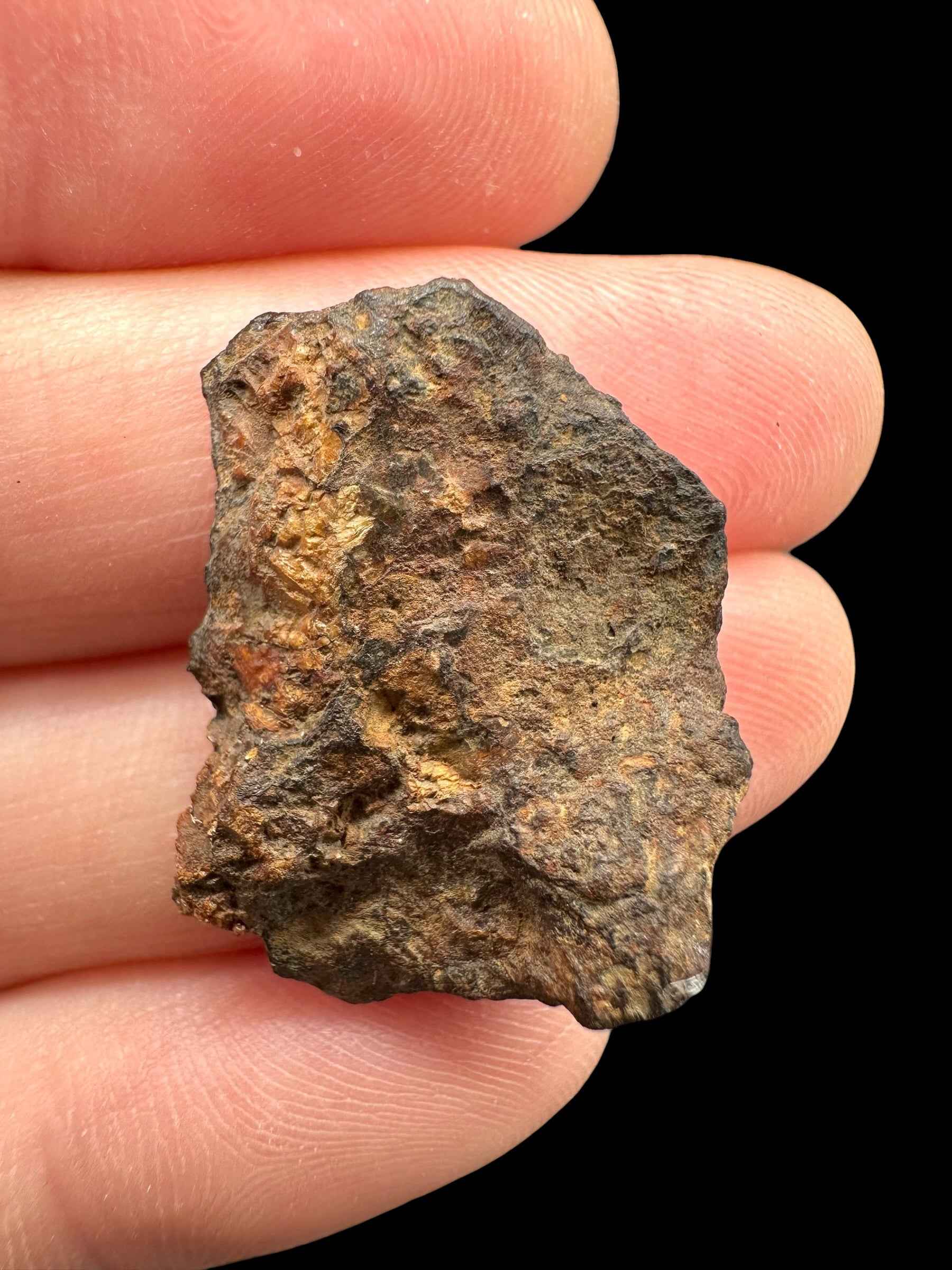 Sericho Pallasite Meteorite – pair 12,6g – Kenya - MESR194