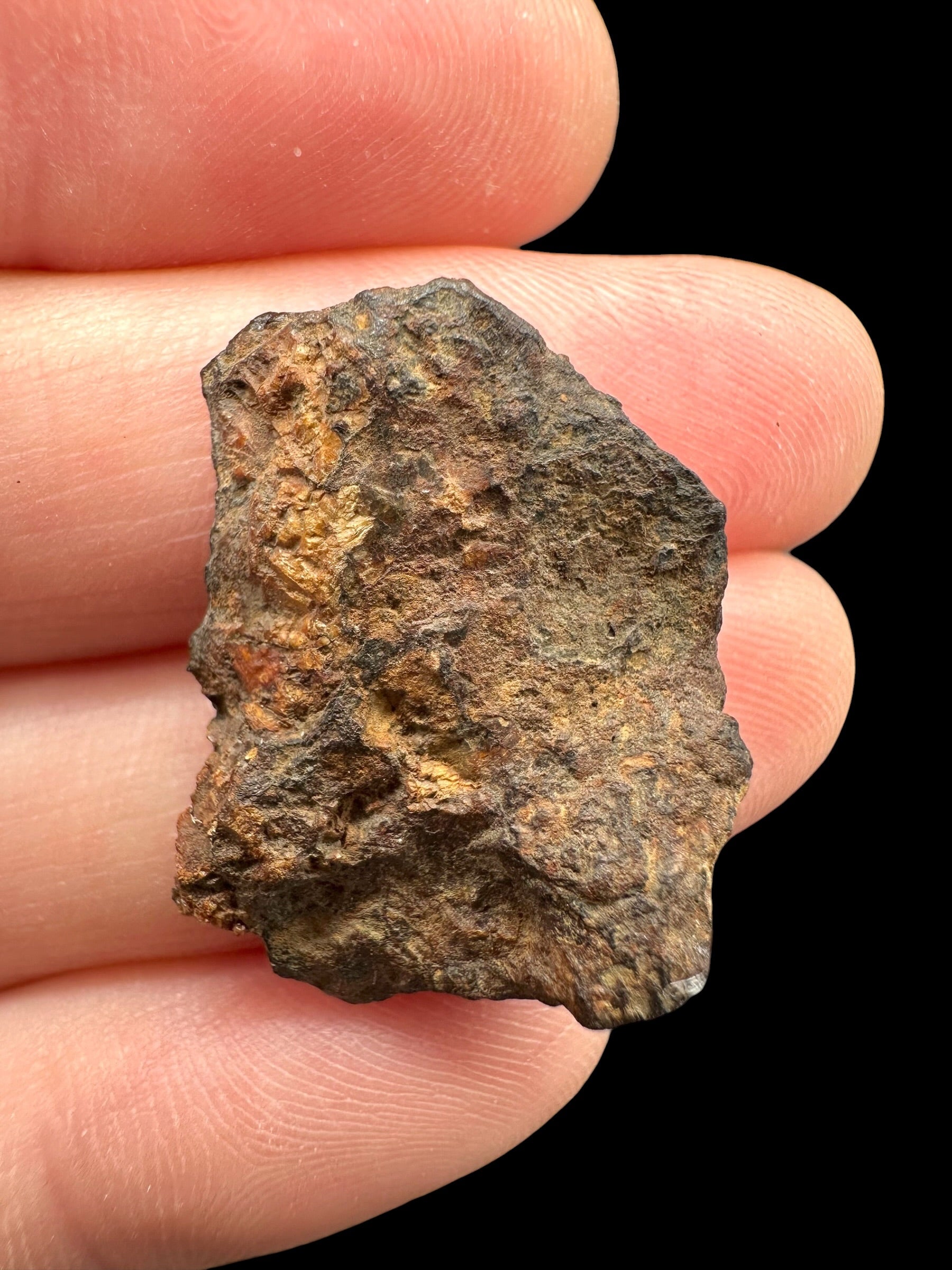 Sericho Pallasite Meteorite – pair 12,6g – Kenya - MESR194