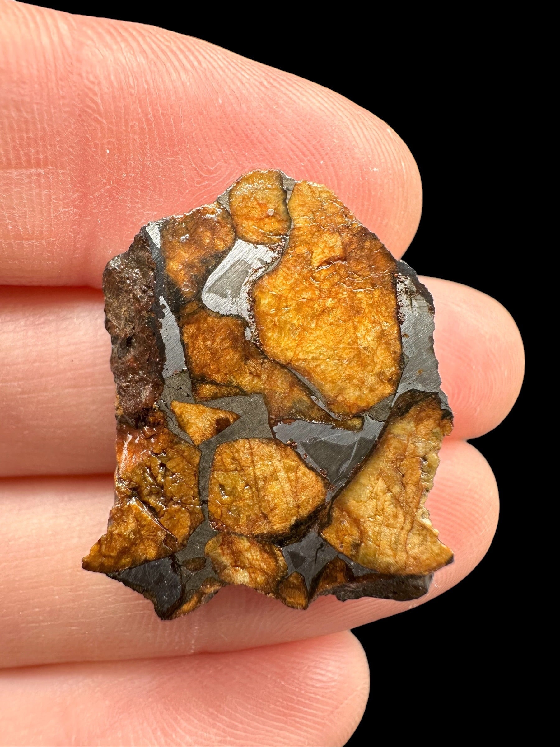 Sericho Pallasite Meteorite – pair 12,6g – Kenya - MESR194