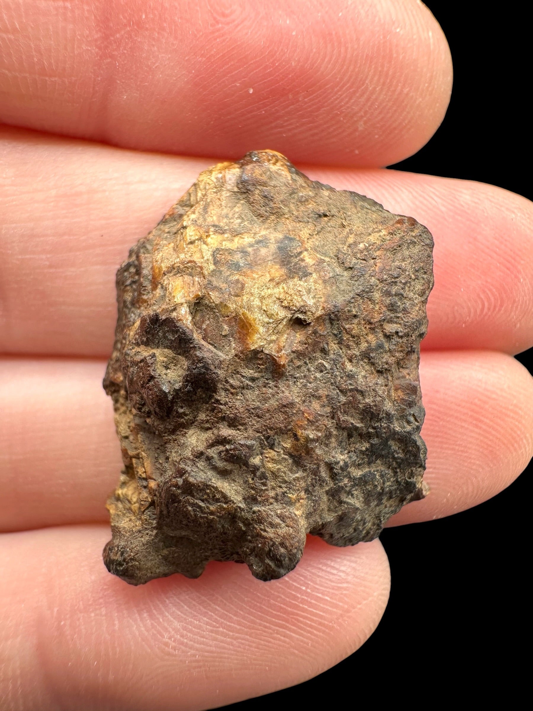 Sericho Pallasite Meteorite – pair 12,6g – Kenya - MESR194