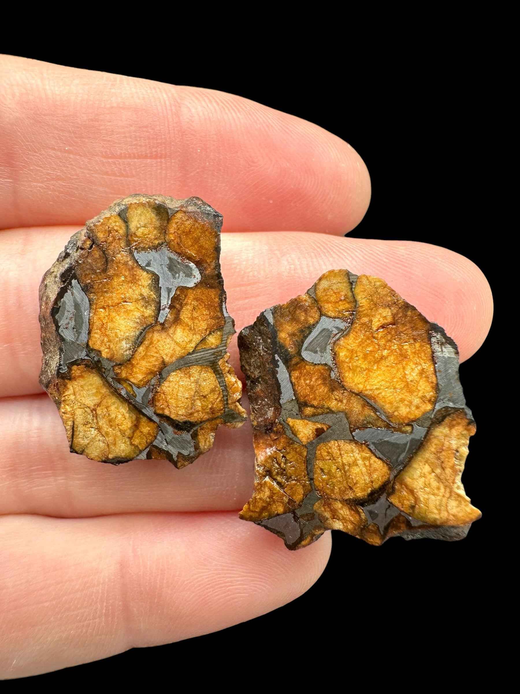 Sericho Pallasite Meteorite – pair 12,6g – Kenya - MESR194