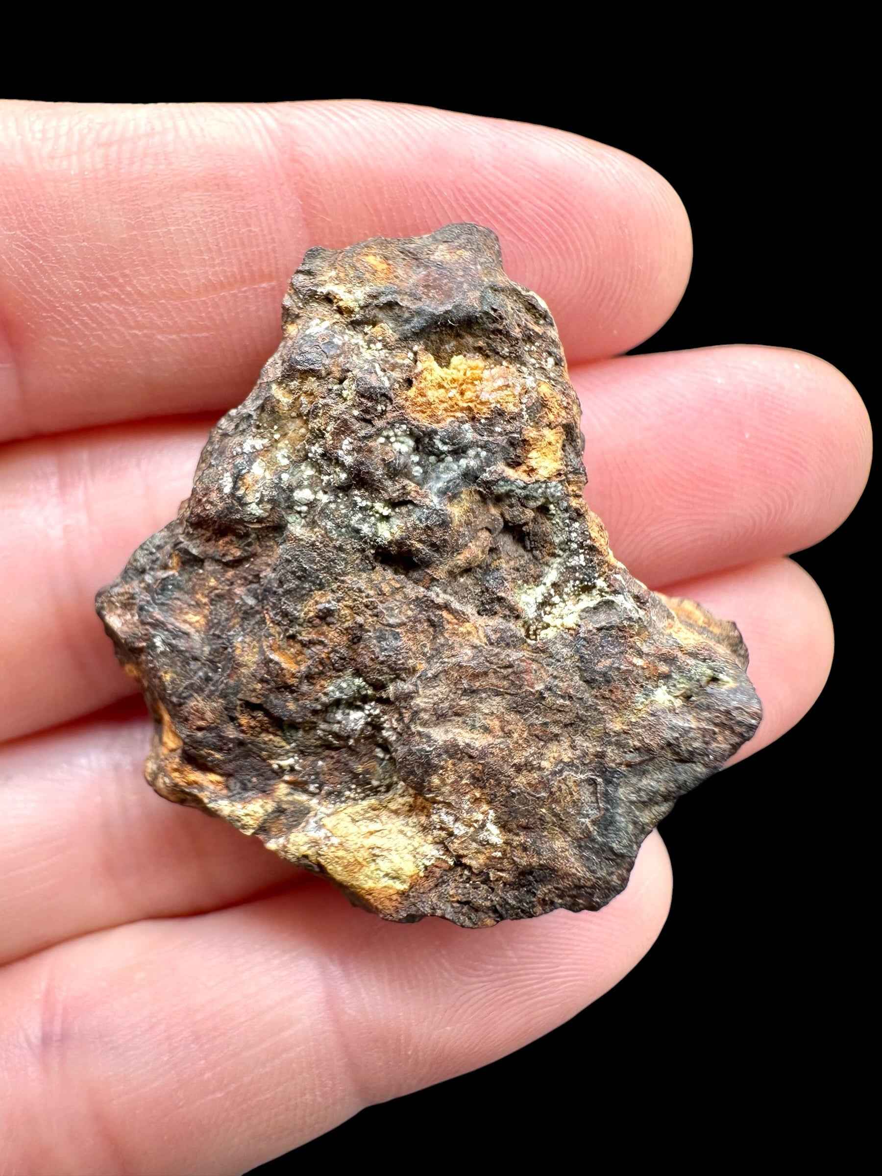 Sericho Pallasite Meteorite 19,2g / endcut – Kenya - MESR195