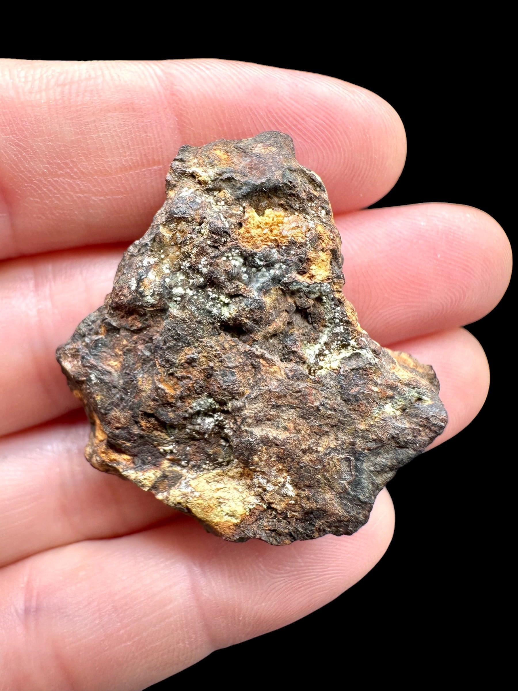 Sericho Pallasite Meteorite 19,2g / endcut – Kenya - MESR195