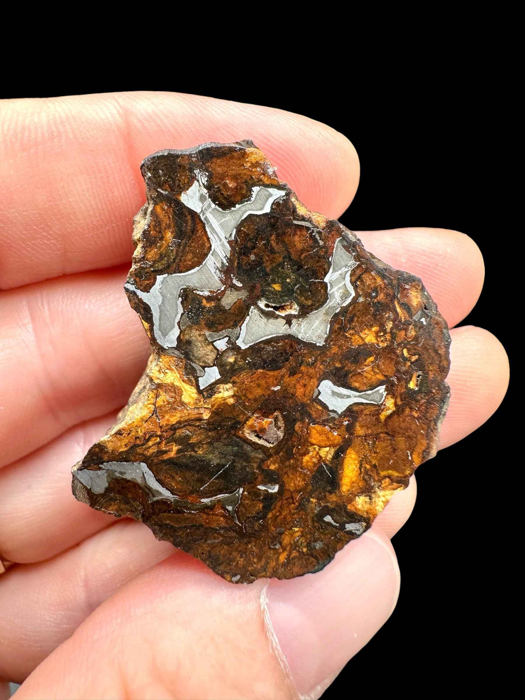 Sericho Pallasite Meteorite 19,2g / endcut – Kenya - MESR195