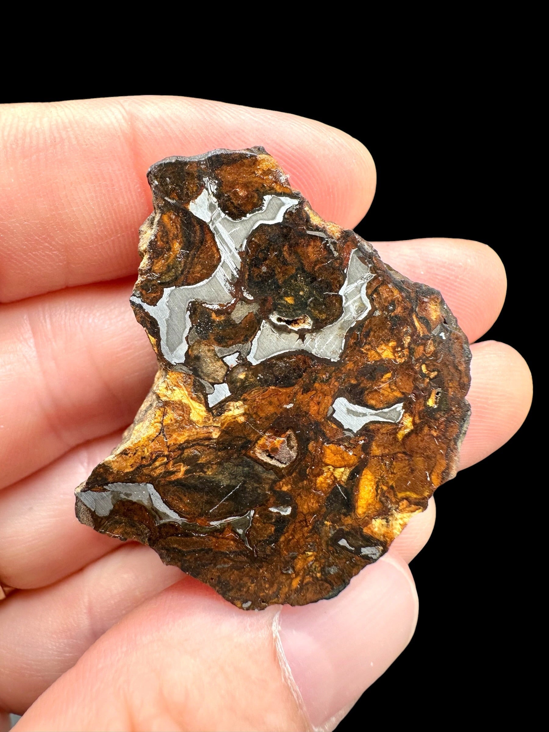 Sericho Pallasite Meteorite 19,2g / endcut – Kenya