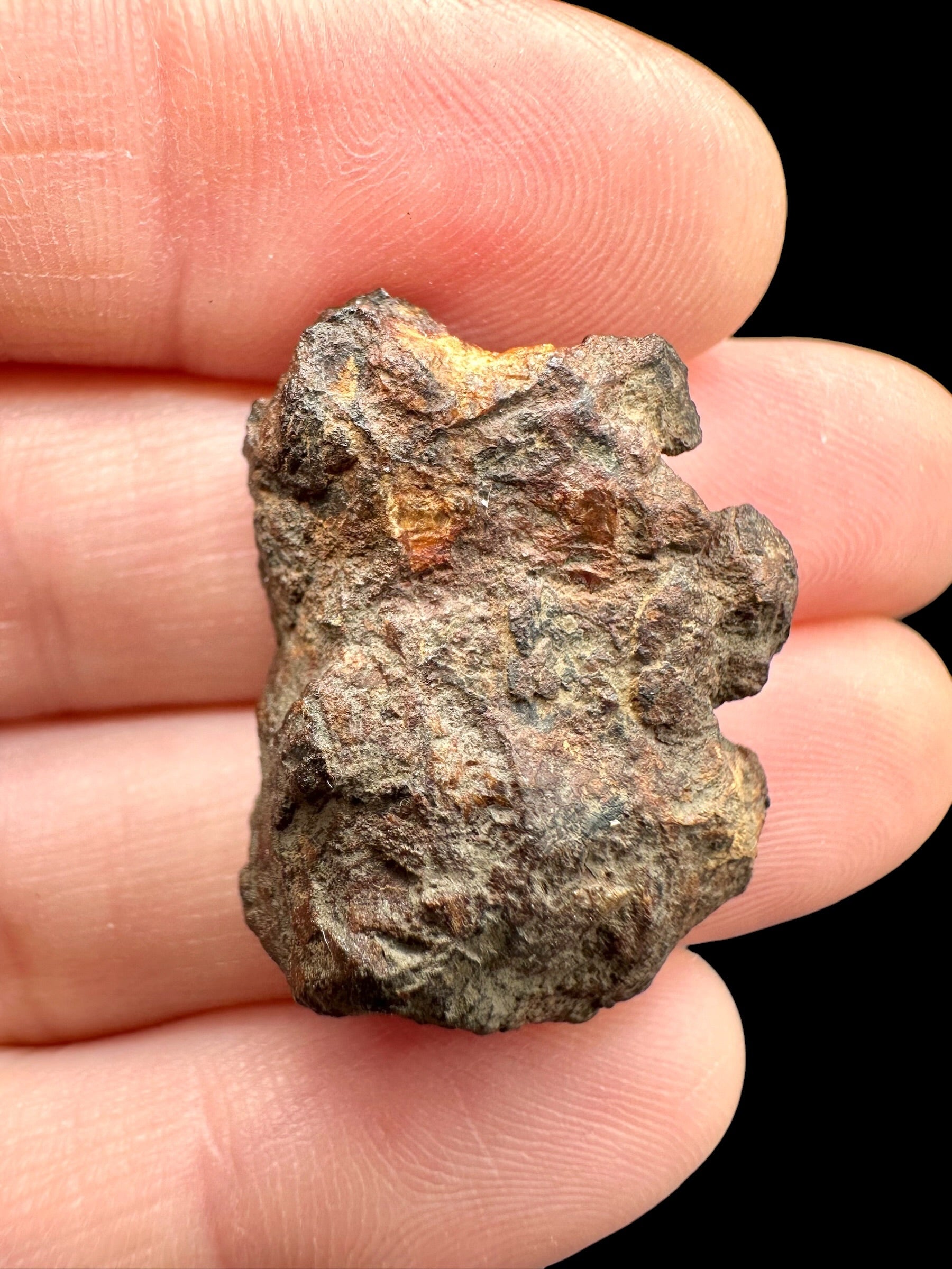 Sericho Pallasite Meteorite 8,6g / endcut – Kenya - MESR196