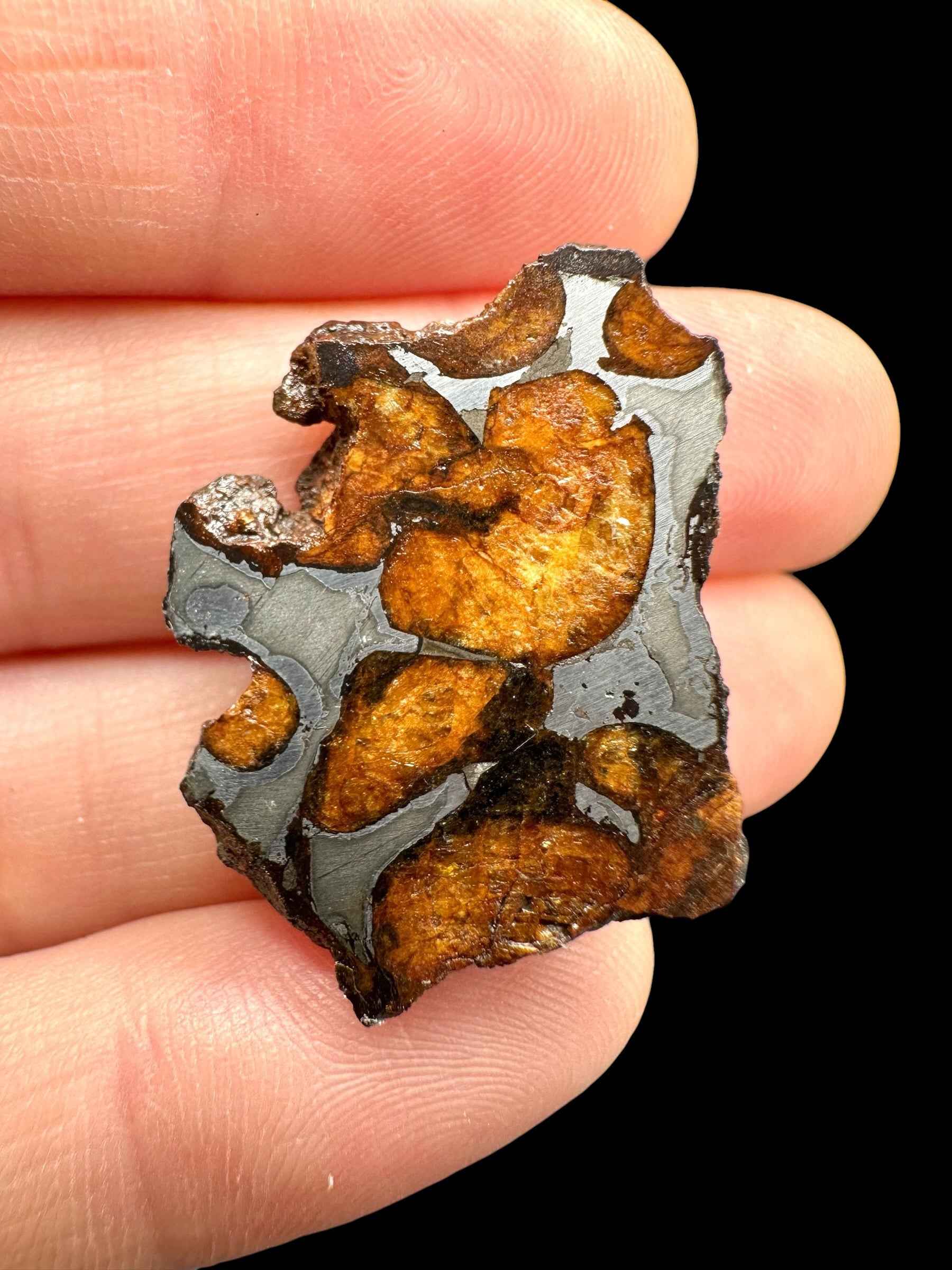Sericho Pallasite Meteorite 8,6g / endcut – Kenya - MESR196