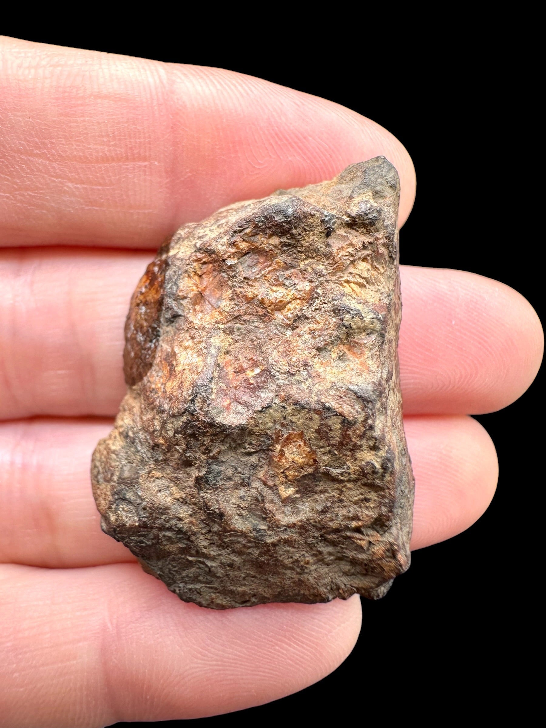 Sericho Pallasite Meteorite 20g / endcut – Kenya - MESR197