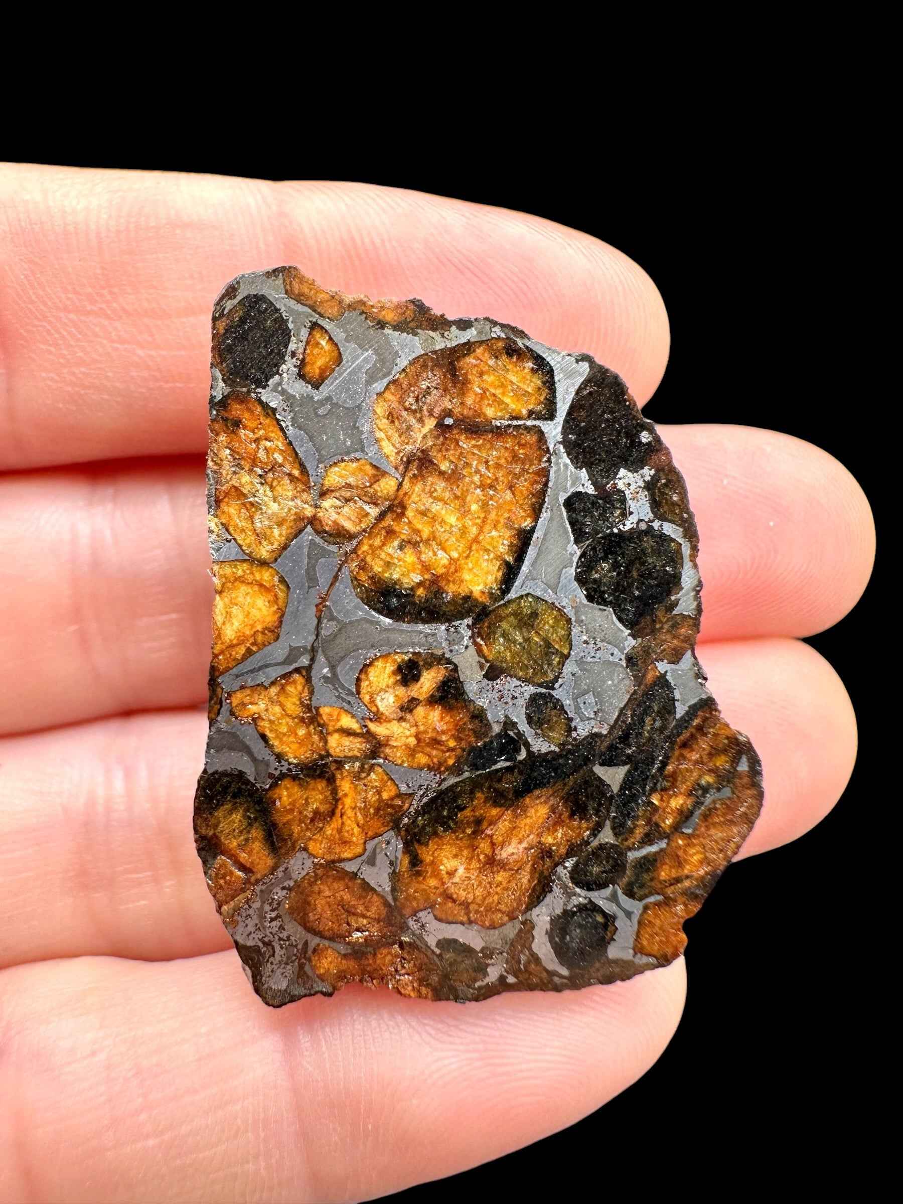 Sericho Pallasite Meteorite 20g / endcut – Kenya - MESR197
