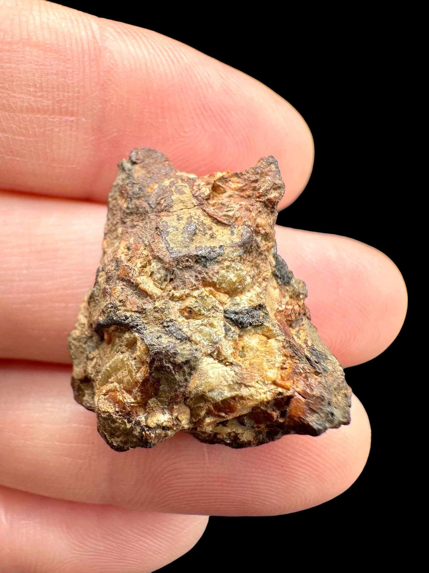 Sericho Pallasite Meteorite 7,5g / endcut – Kenya - MESR198
