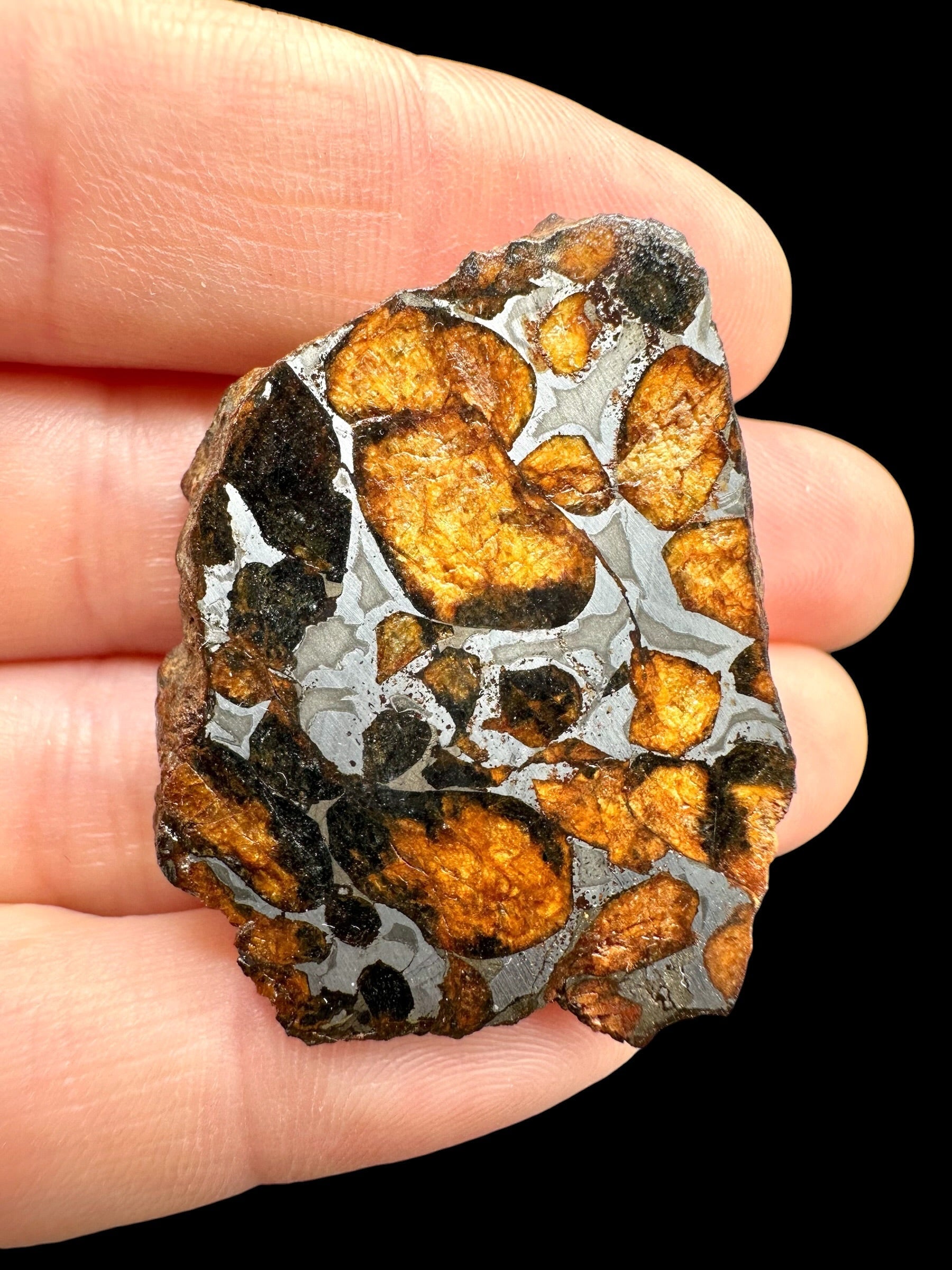 Sericho Pallasite Meteorite 21g / endcut – Kenya