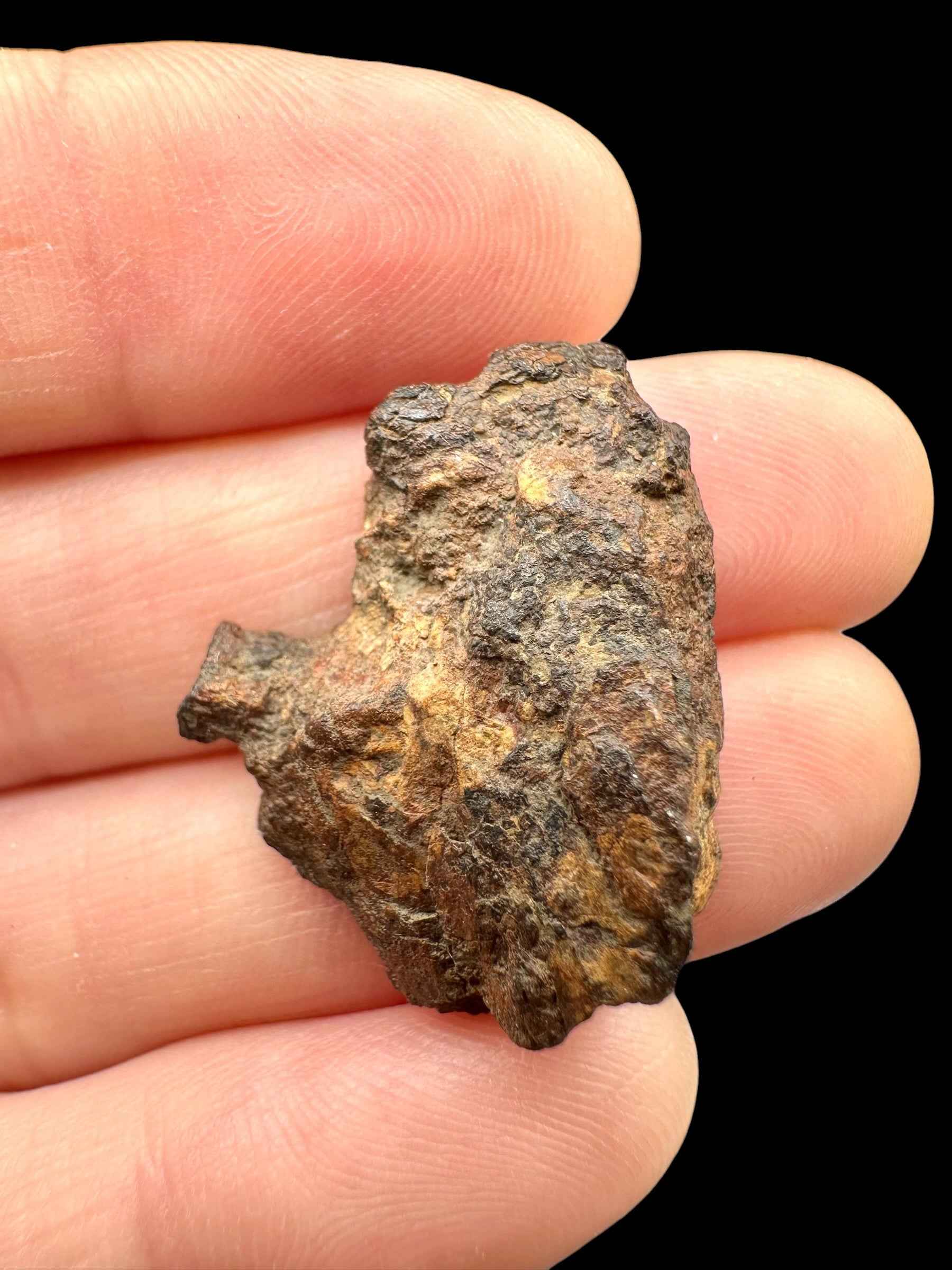 Sericho Pallasite Meteorite 6,4g / endcut – Kenya - MESR200