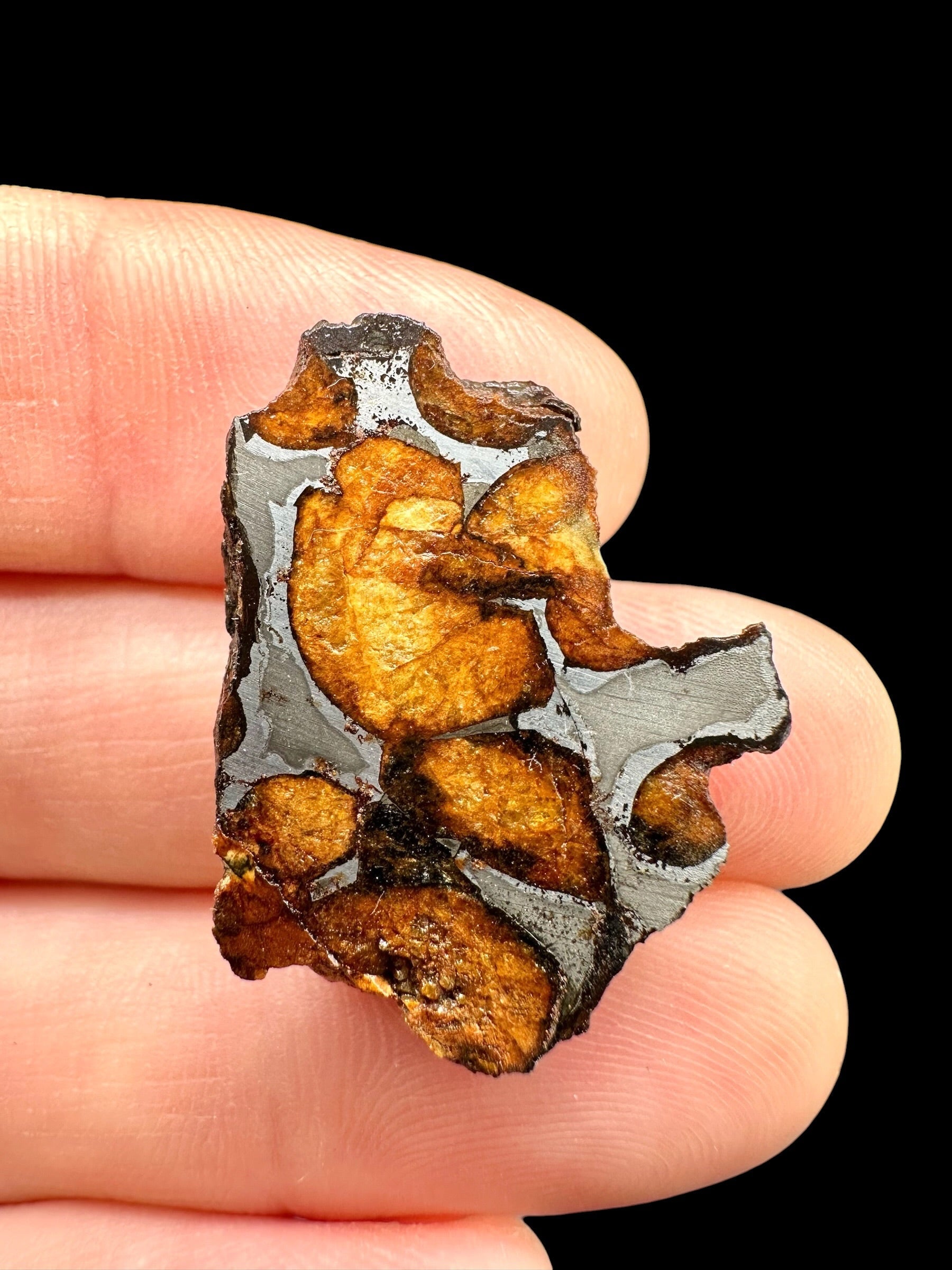 Sericho Pallasite Meteorite 6,4g / endcut – Kenya