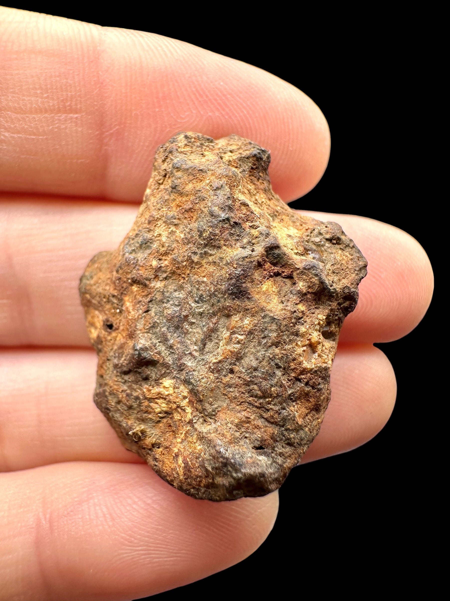 Sericho Pallasite Meteorite 18g / endcut – Kenya - MESR201