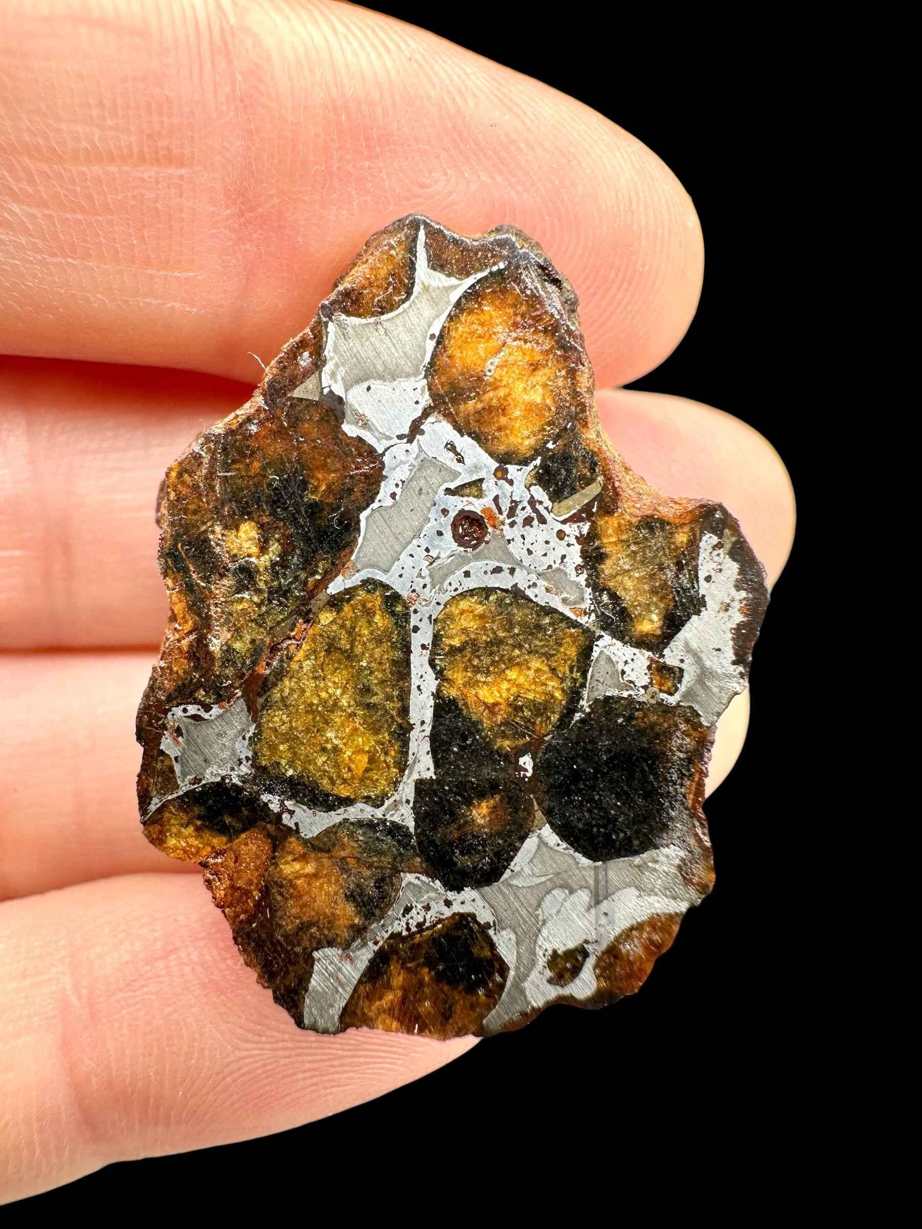 Sericho Pallasite Meteorite 18g / endcut – Kenya - MESR201