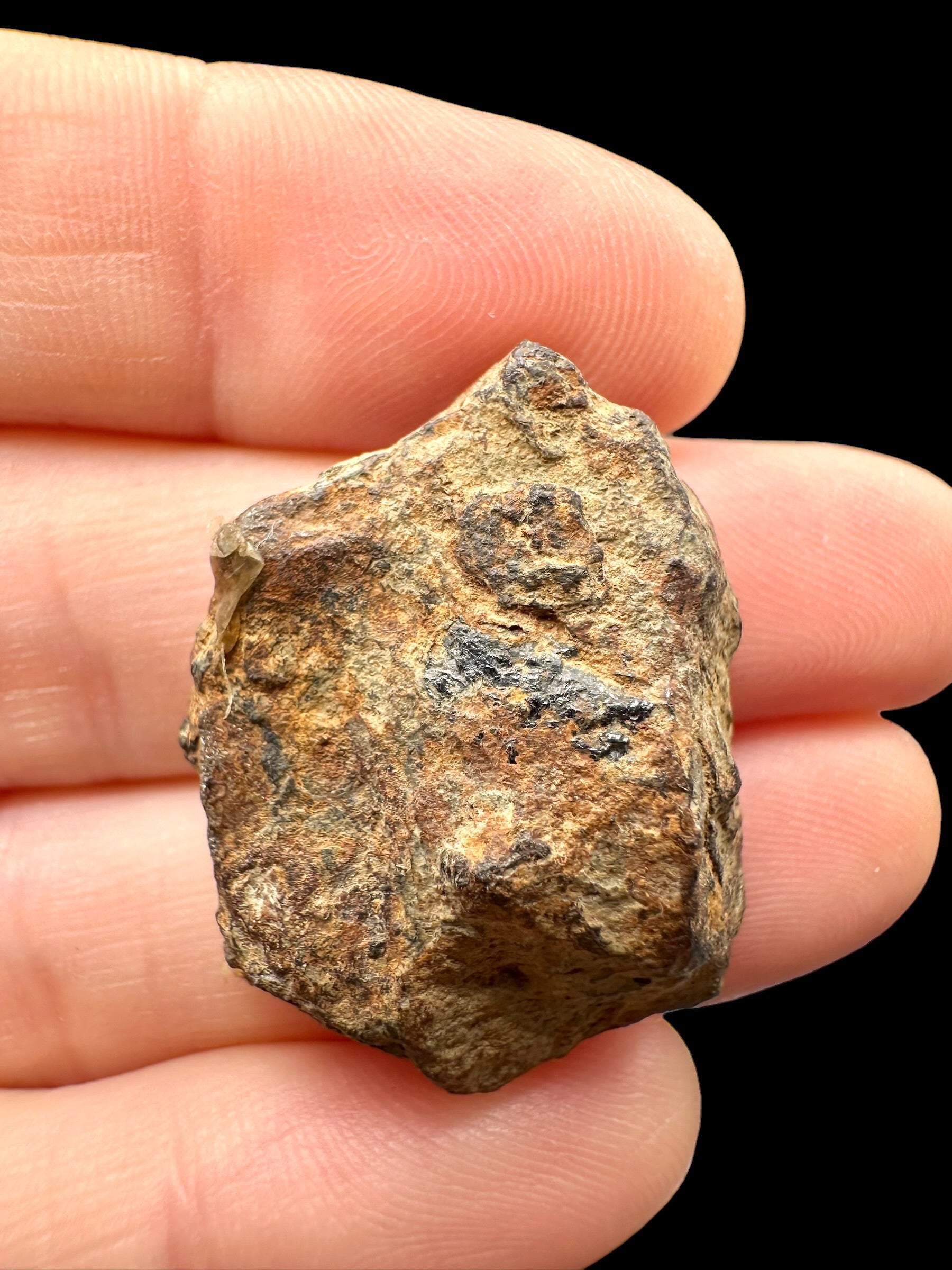 Sericho Pallasite Meteorite 19,9g / endcut – Kenya - MESR202