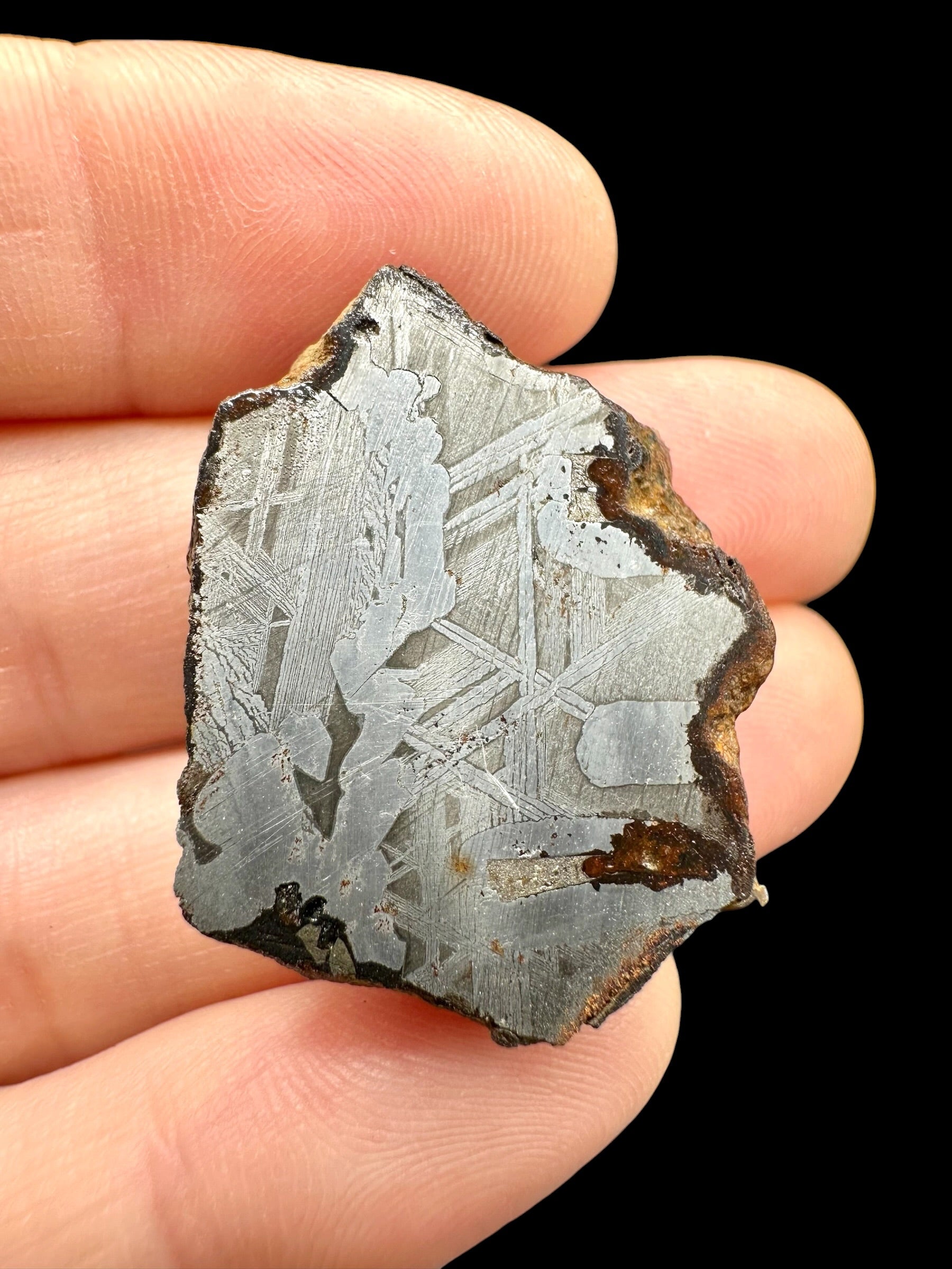 Sericho Pallasite Meteorite 19,9g / endcut – Kenya