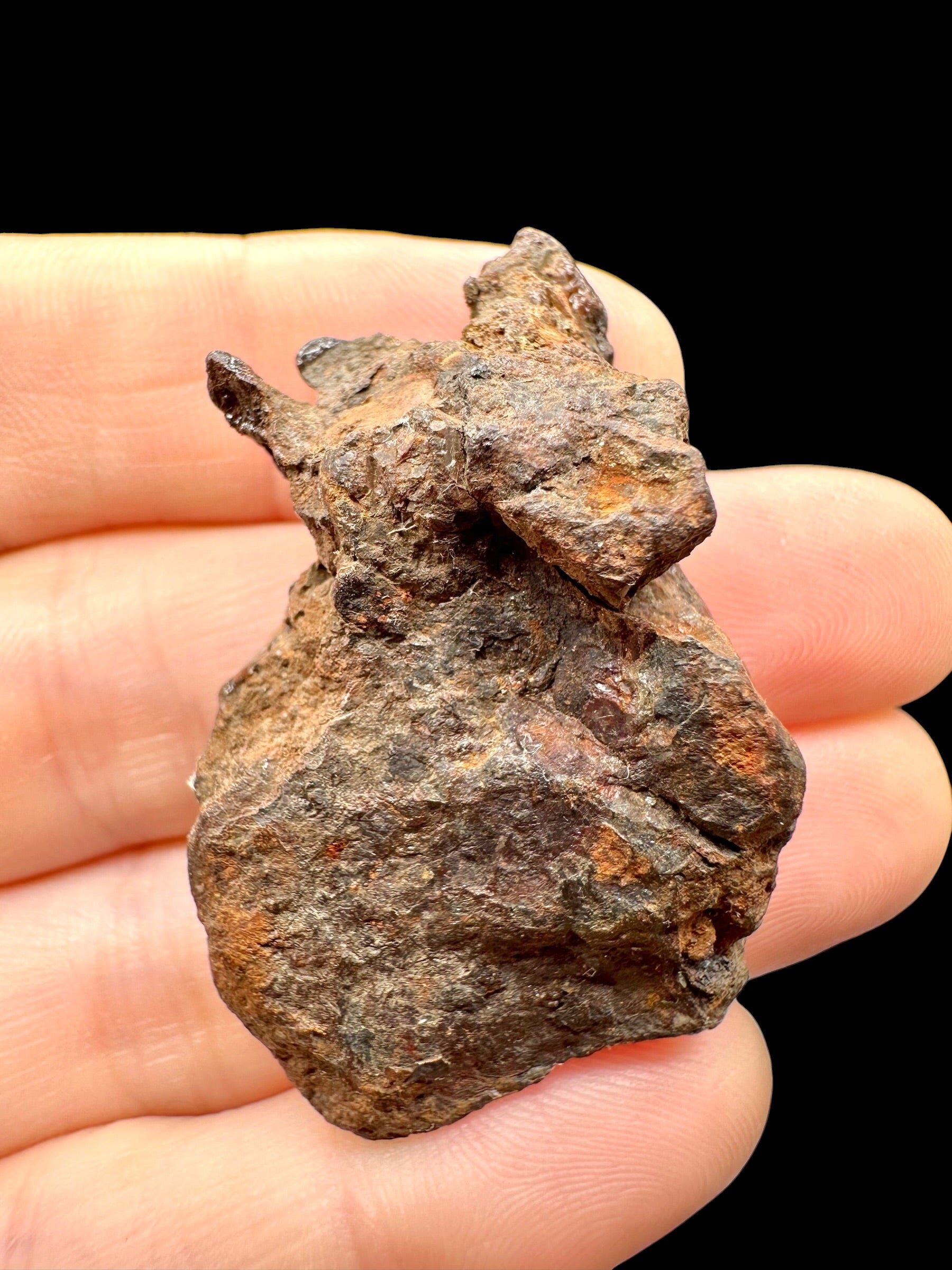 Sericho Pallasite Meteorite 22,3g / endcut – Kenya - MESR203