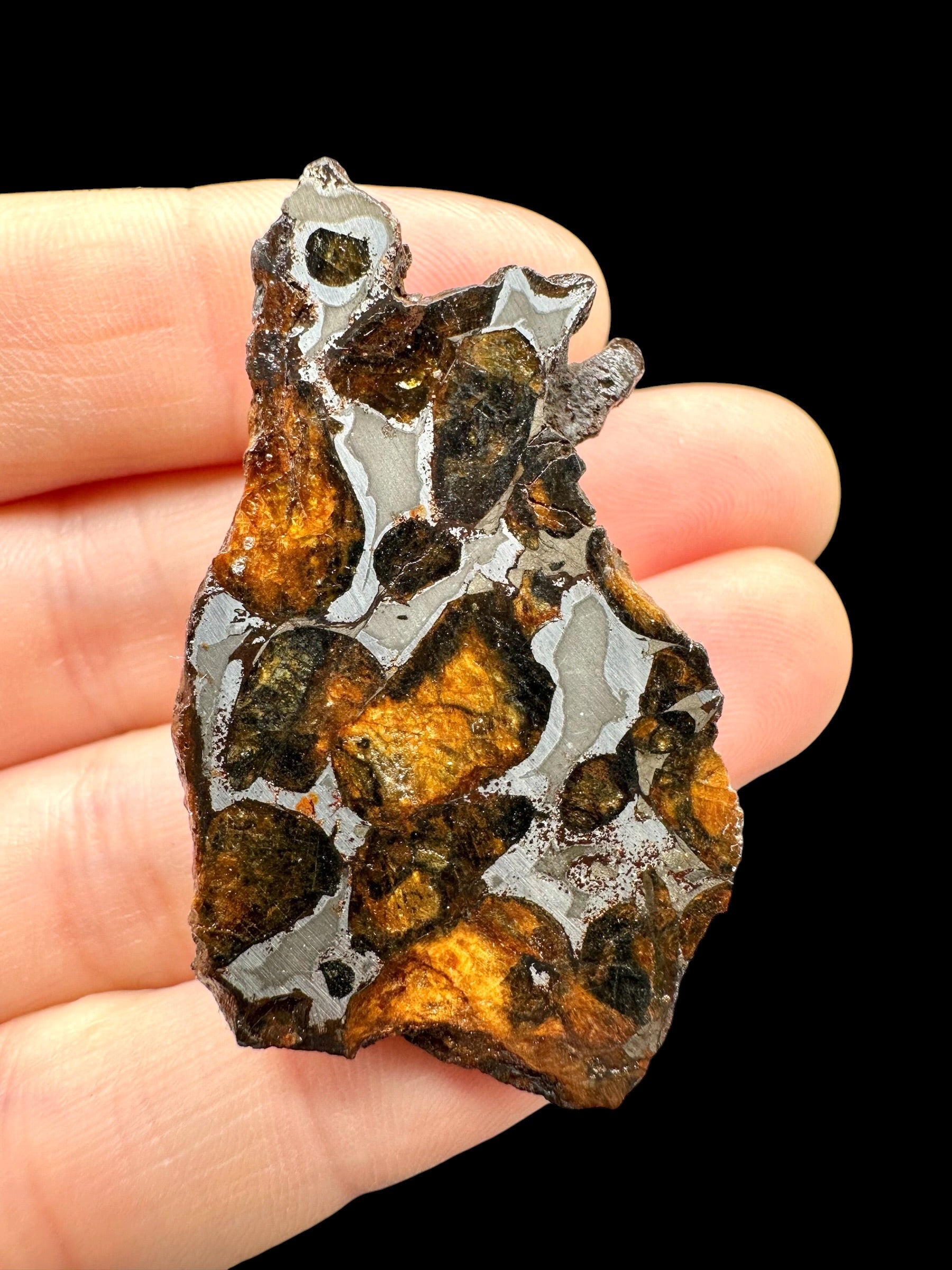 Sericho Pallasite Meteorite 22,3g / endcut – Kenya