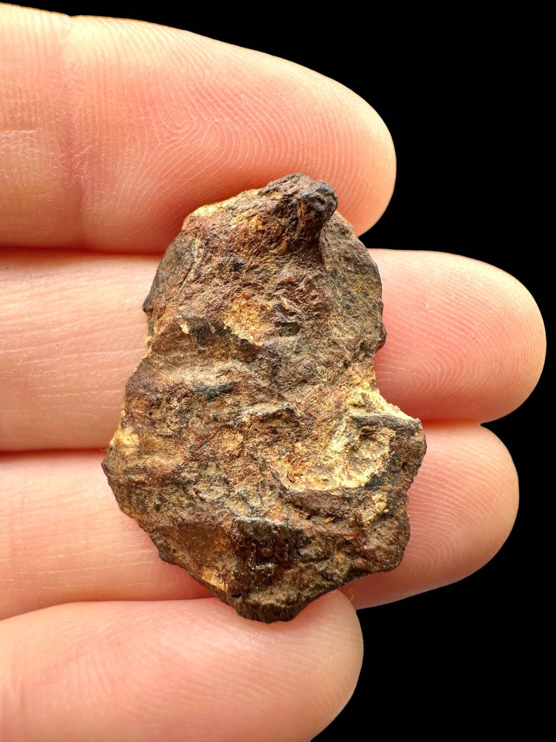 Sericho Pallasite Meteorite 6,1g / endcut – Kenya - MESR204